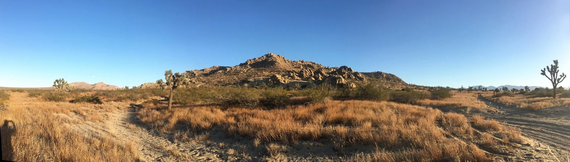 IMG_4212-Panorama.jpg