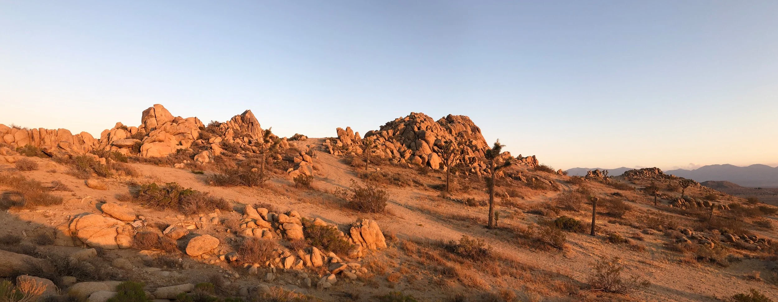 IMG_4587 Panorama.jpg
