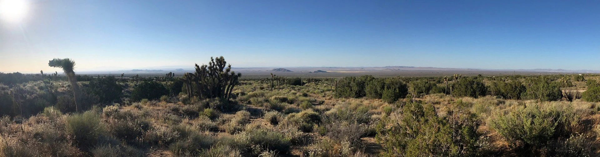 IMG_1712 Panorama.jpg