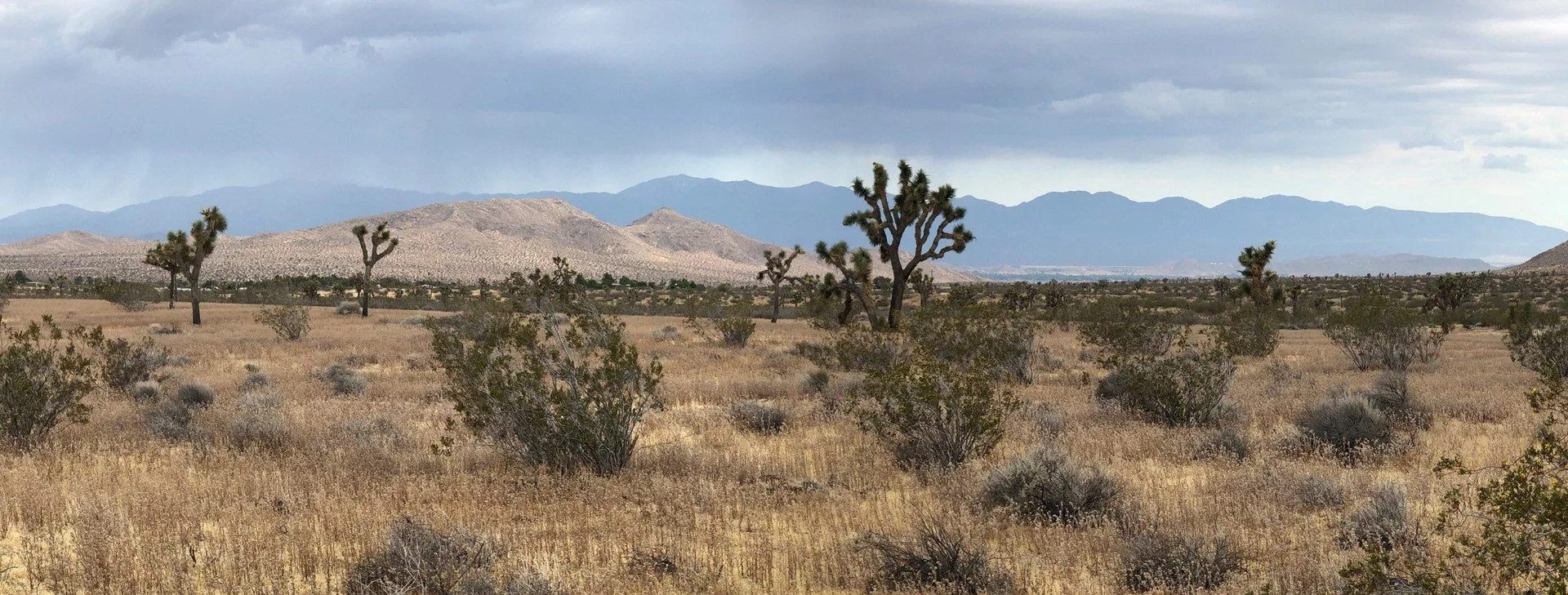 IMG_1335 Panorama.jpg