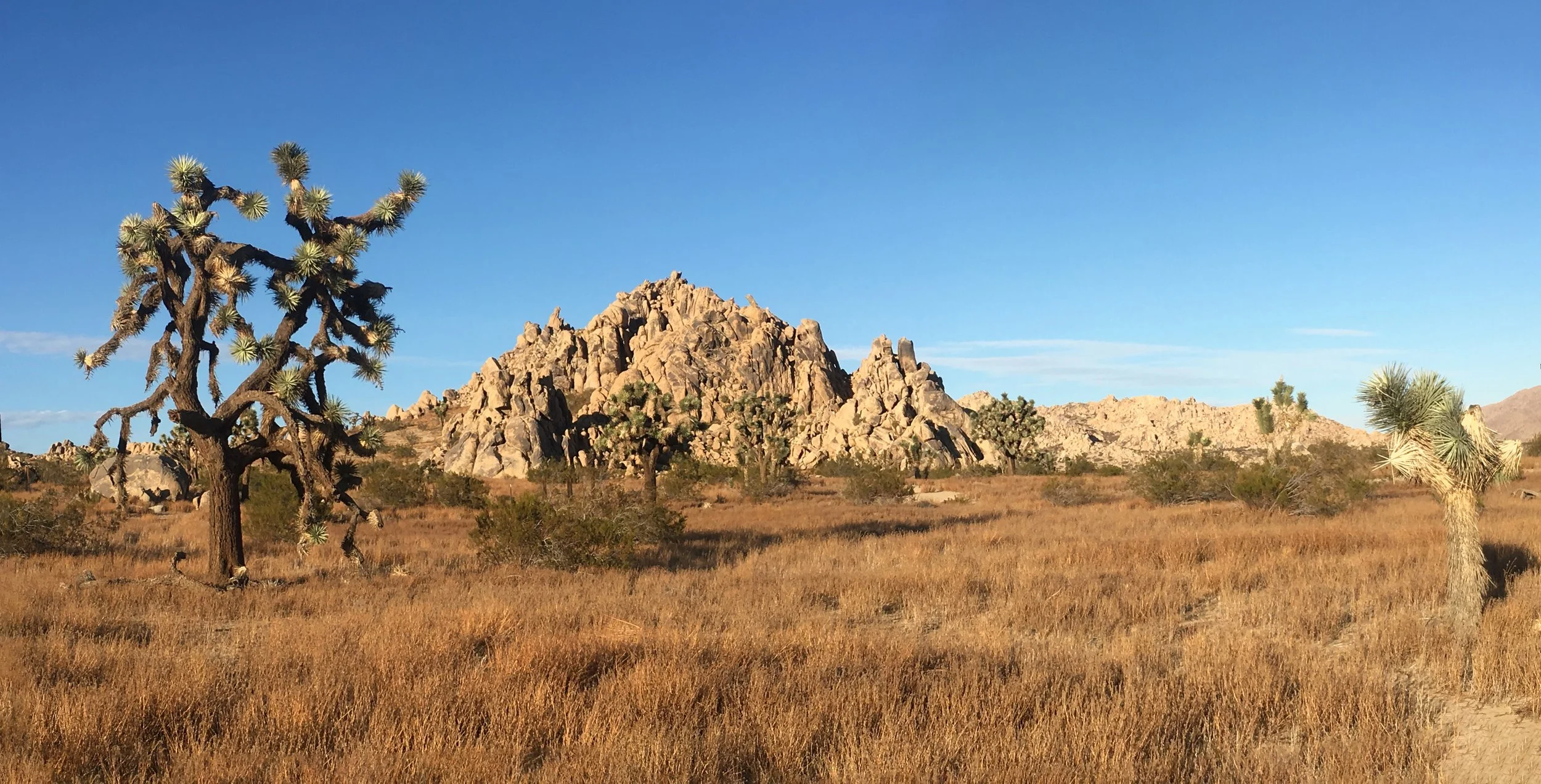 IMG_4159-Panorama.jpg