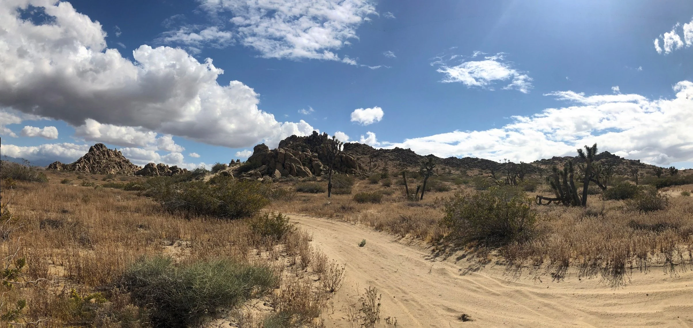 IMG_0572-Panorama.jpg