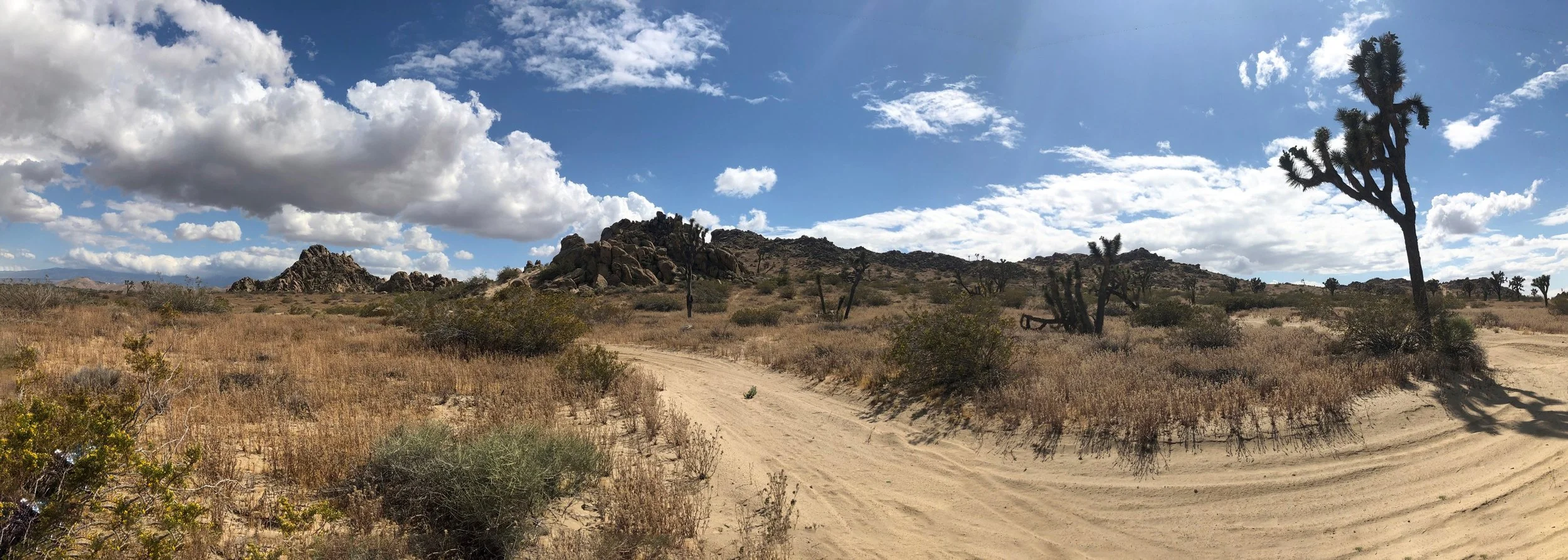 IMG_0574-Panorama.jpg