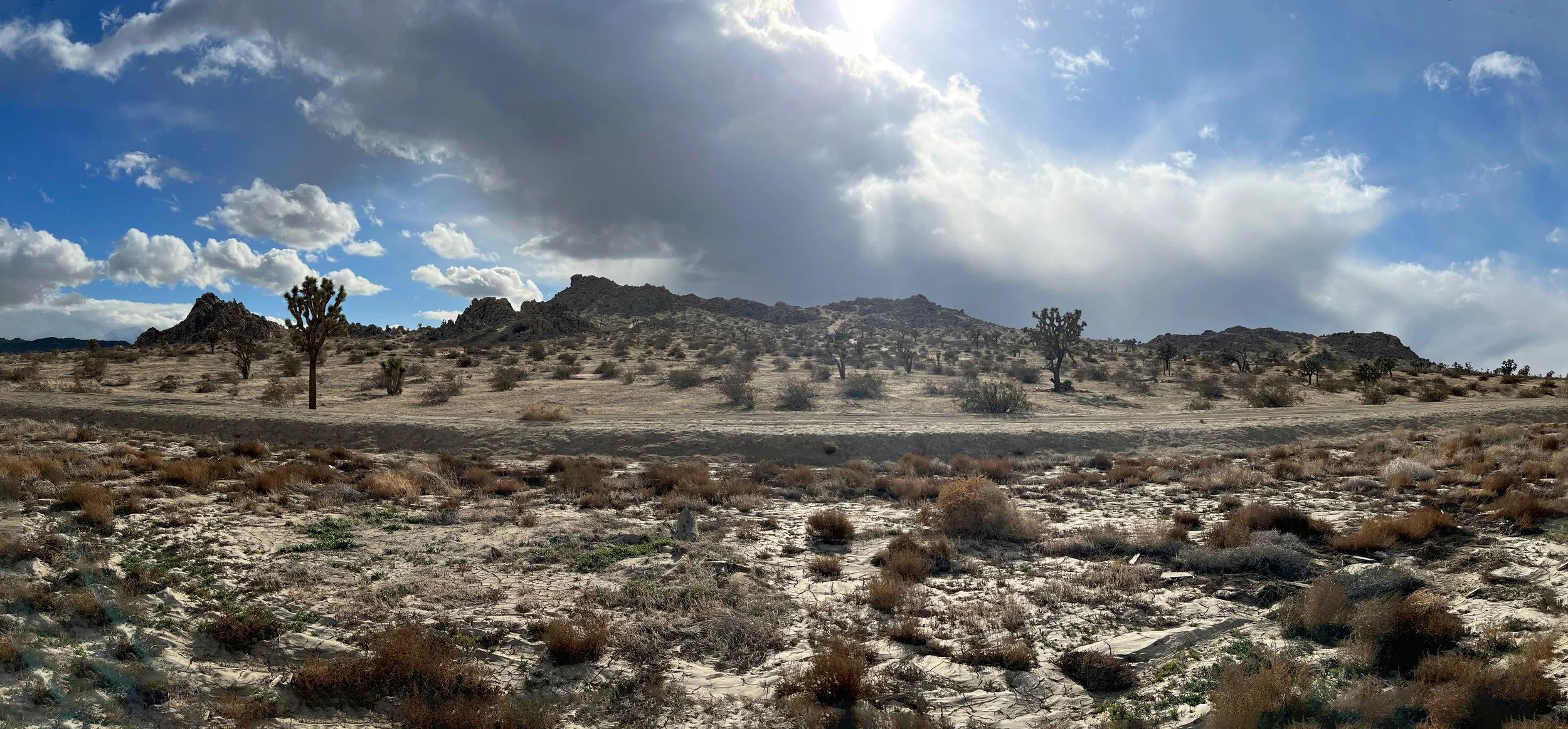 IMG_3933-Panorama.jpg