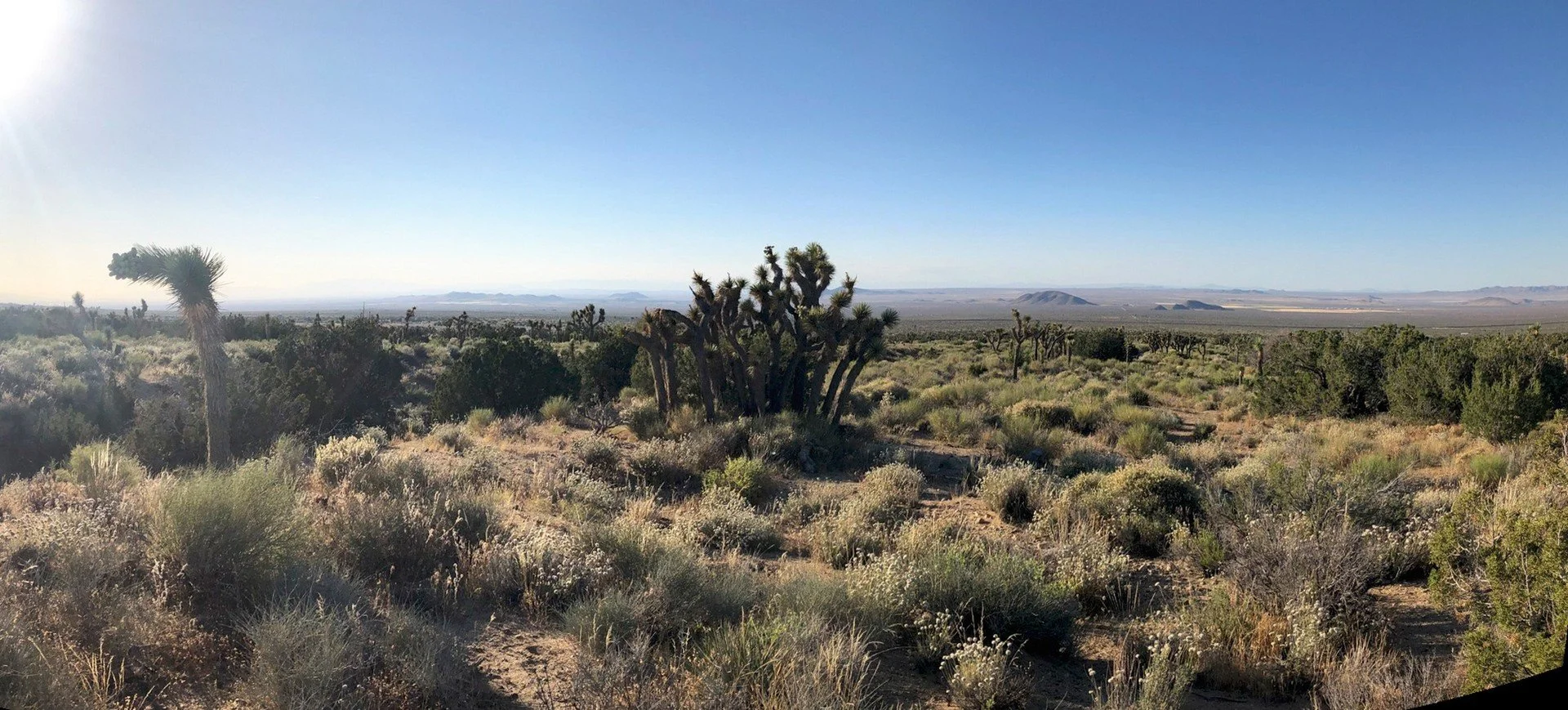 IMG_1715 Panorama.jpg