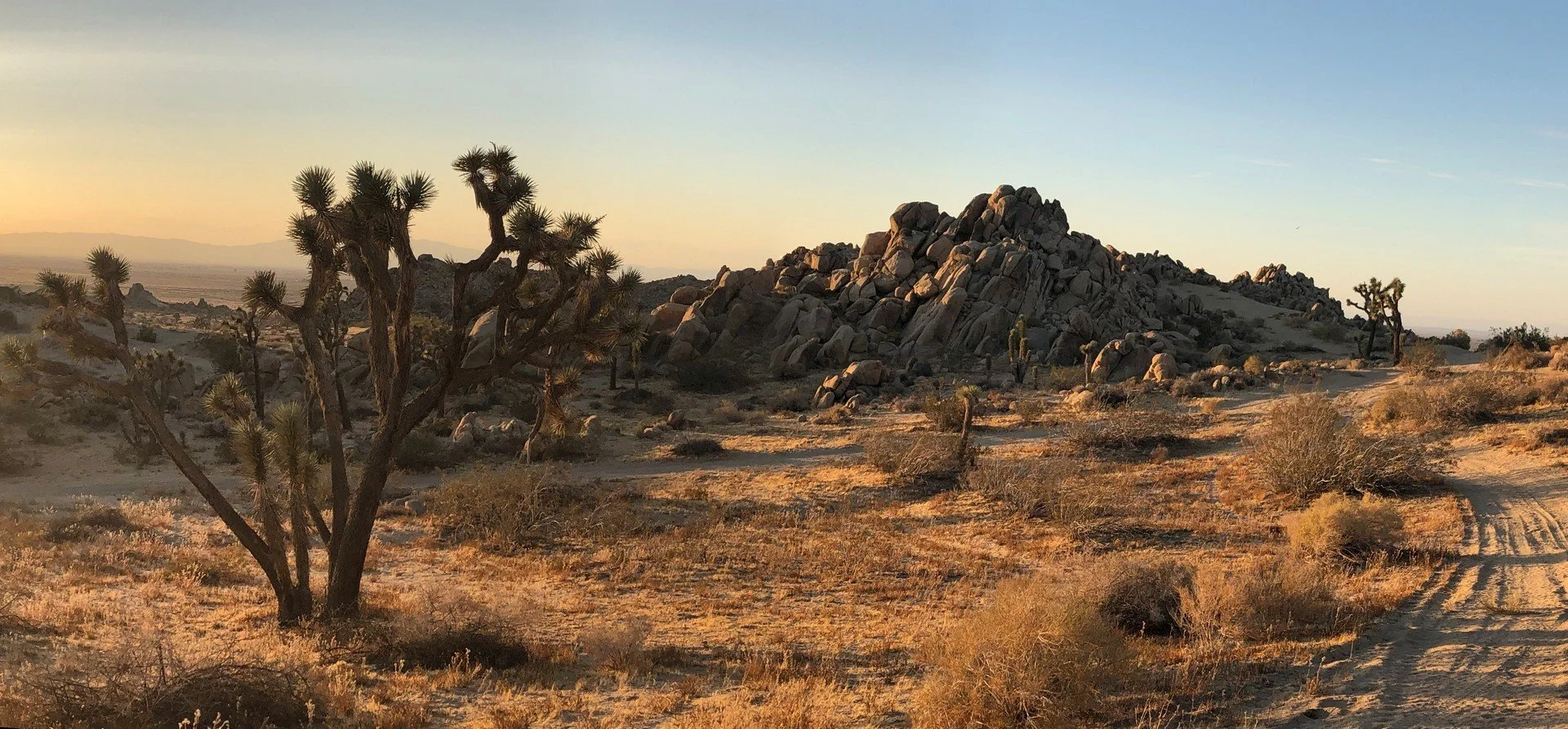 IMG_4386 Panorama.jpg