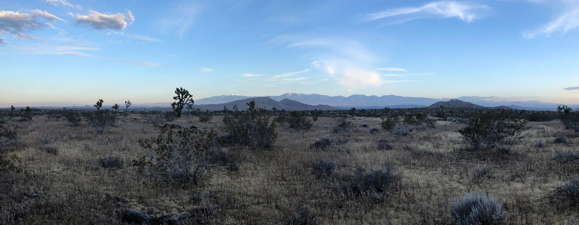 IMG_0893 Panorama-3.jpg