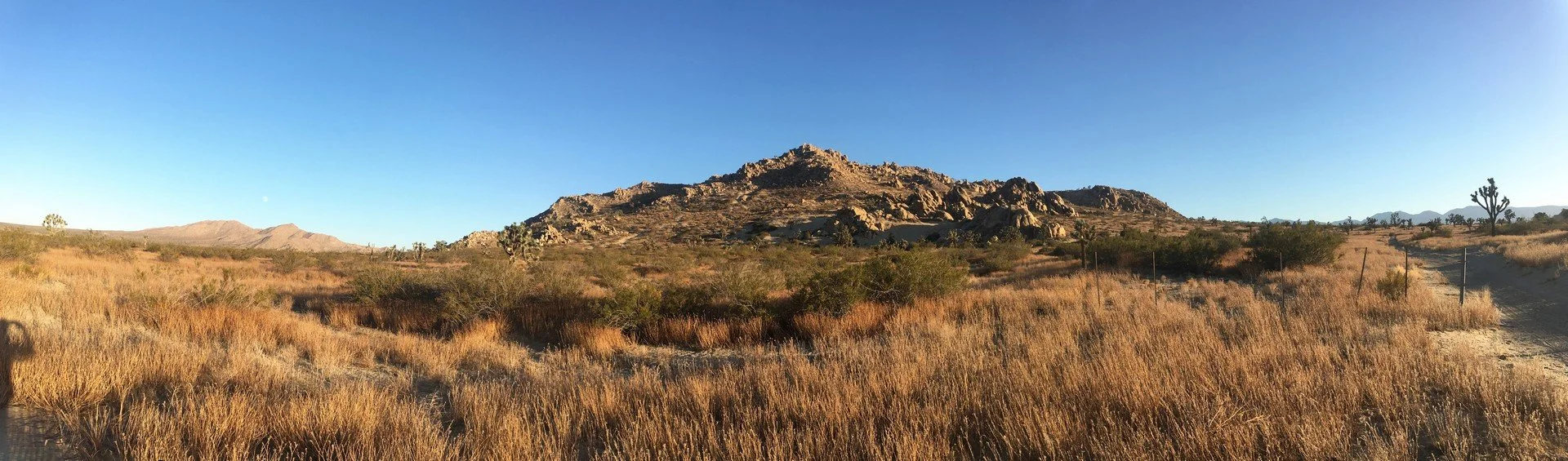 IMG_4221-Panorama.jpg