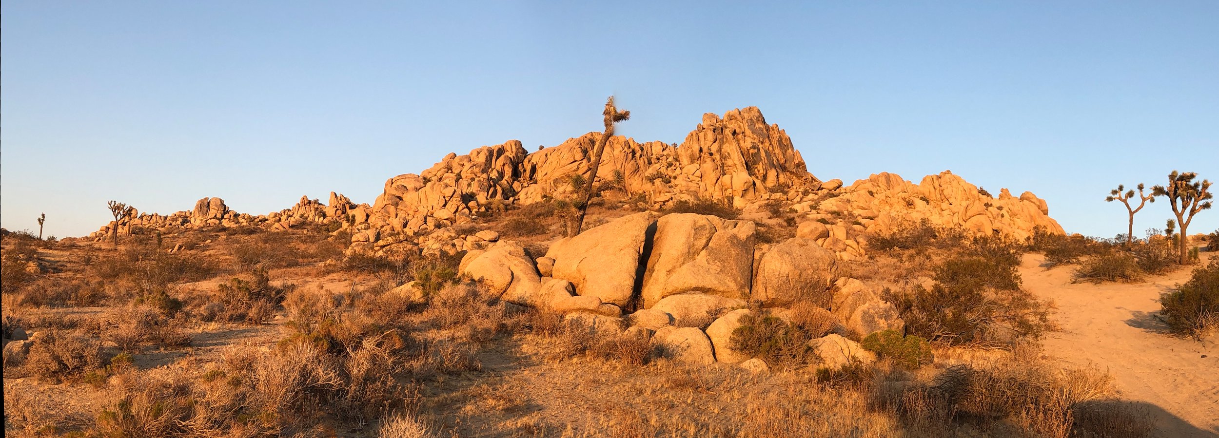 IMG_4566 Panorama.jpg