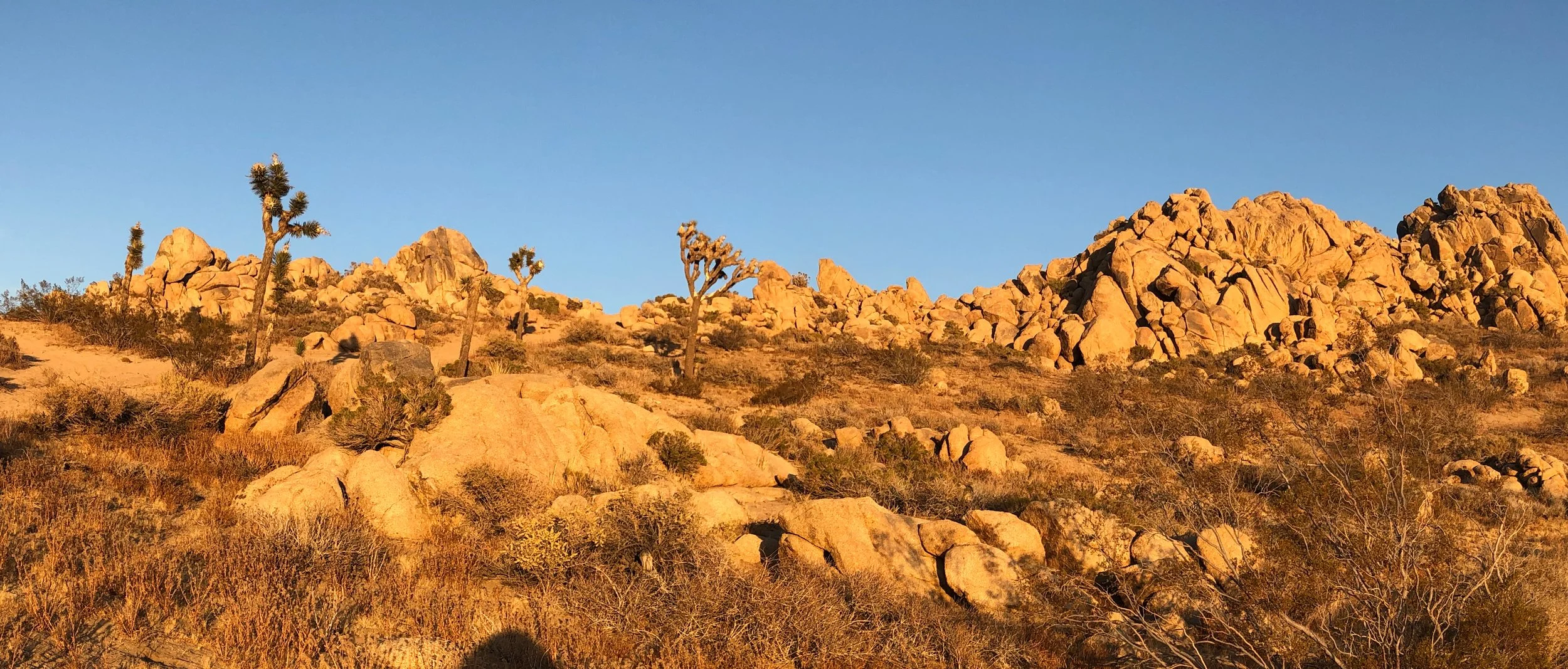 IMG_4394 Panorama.jpg