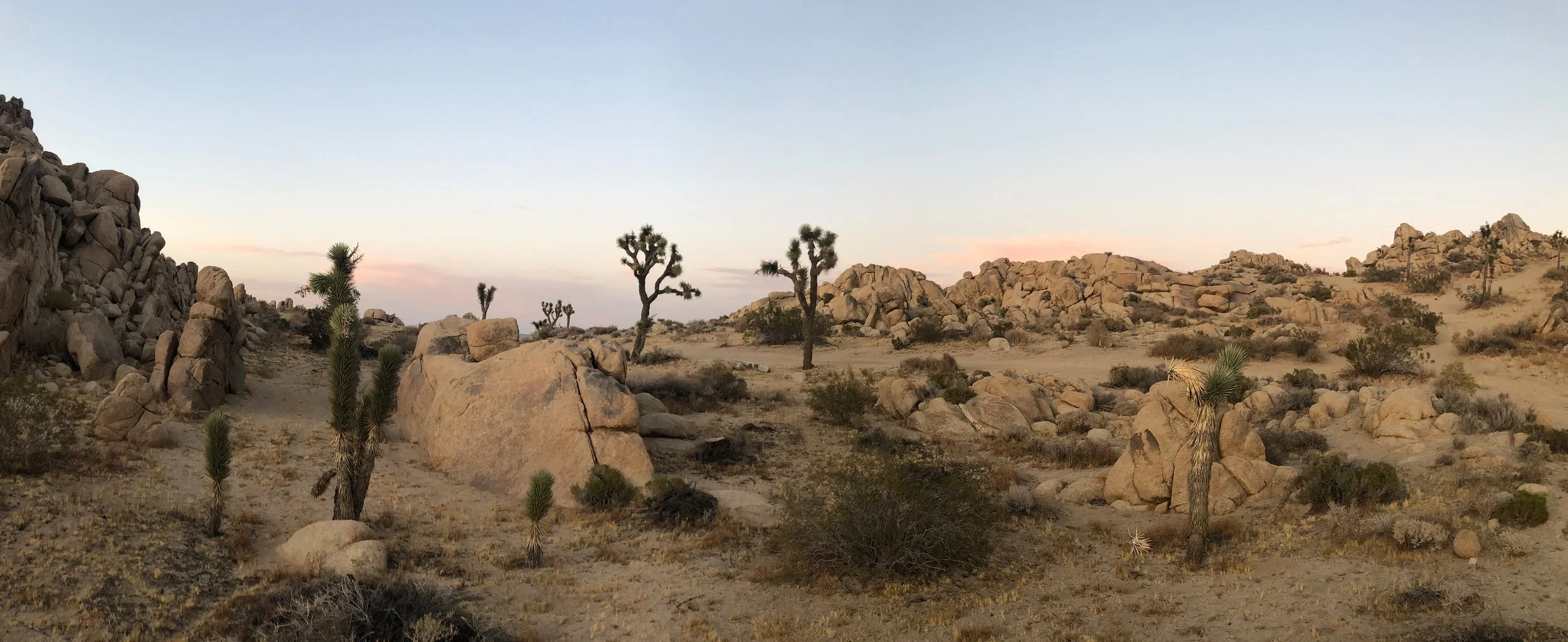 IMG_4458 Panorama.jpg