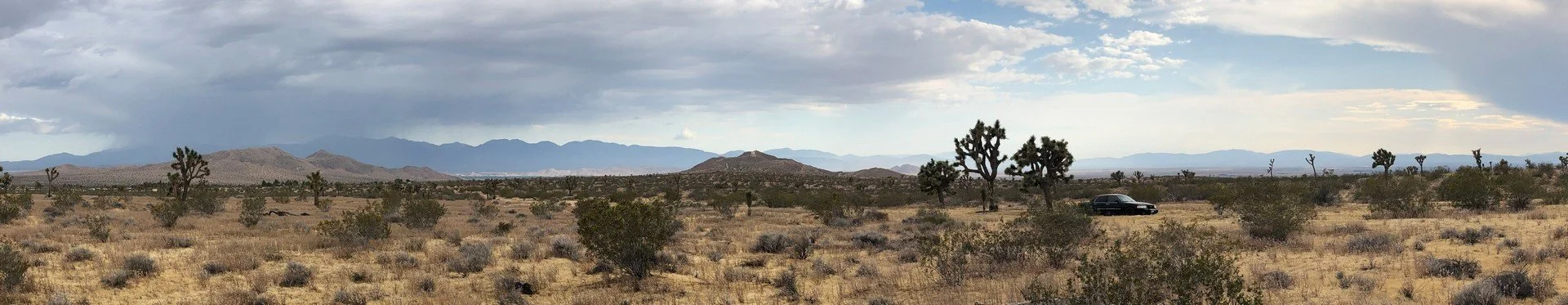 IMG_1369 Panorama.jpg