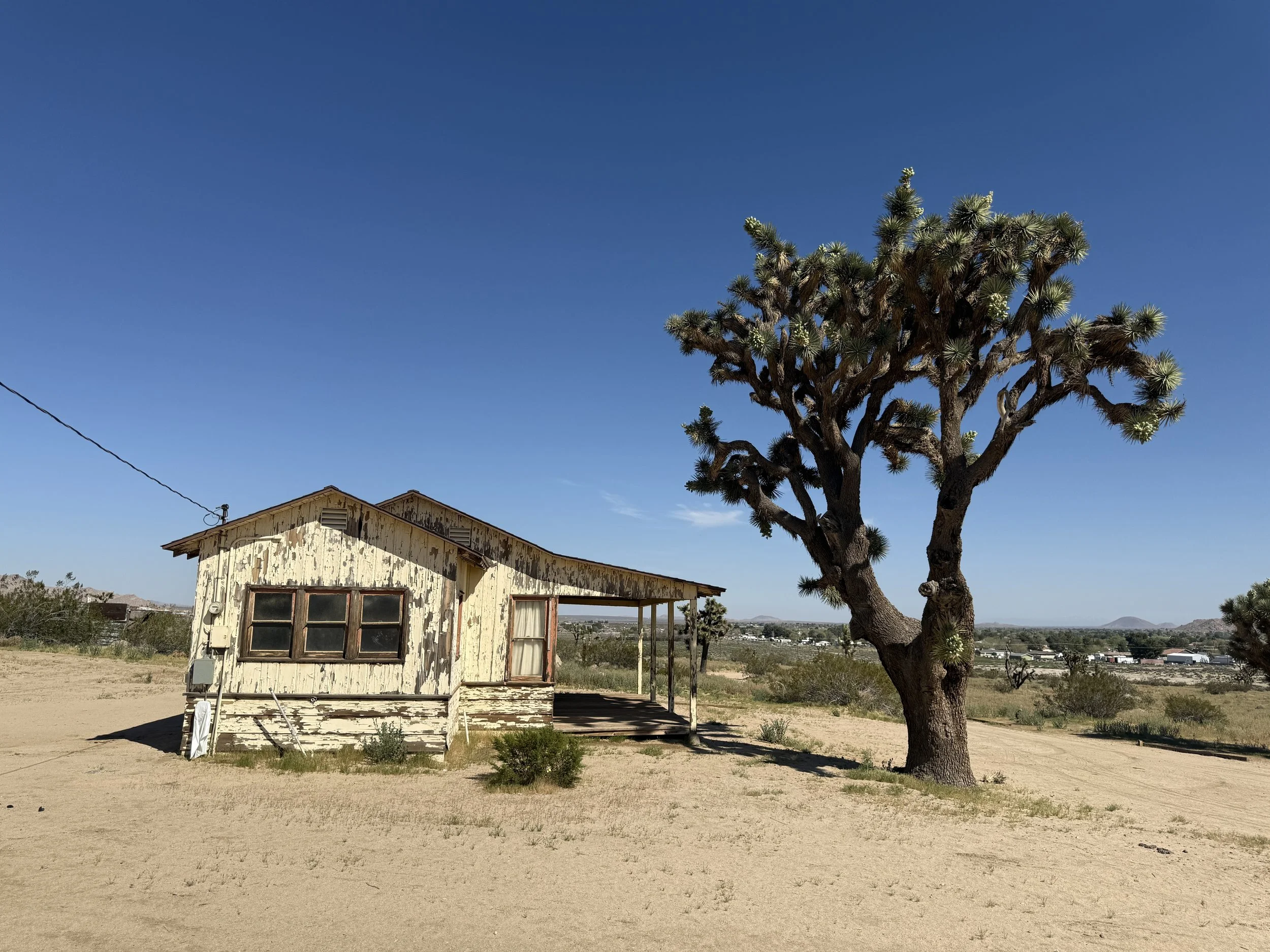 IMG_8307 2 - Copy.JPG