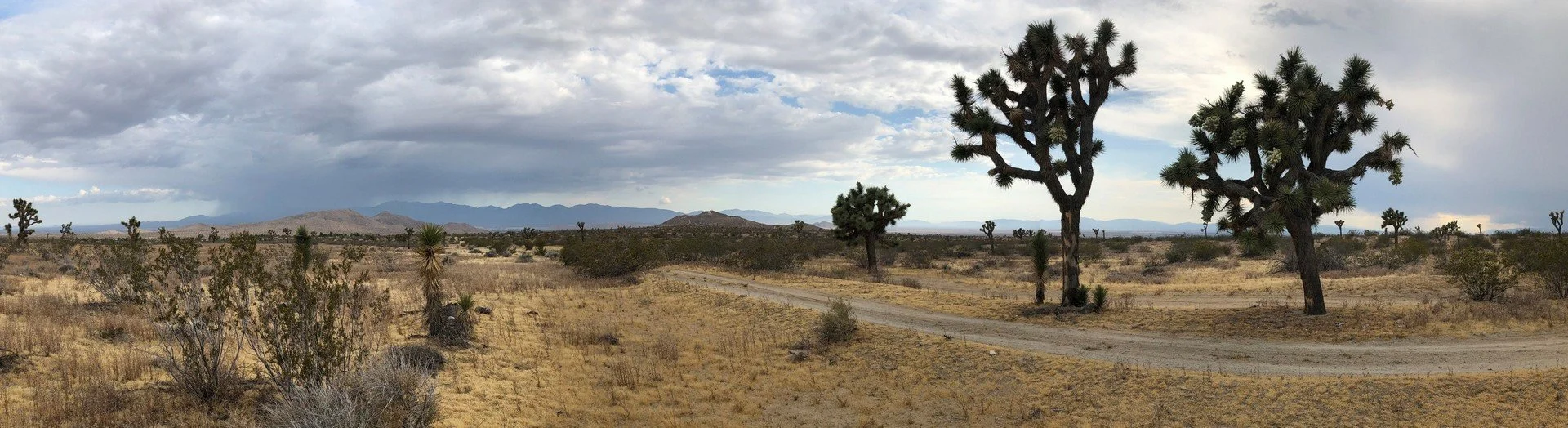 IMG_1360 Panorama.jpg