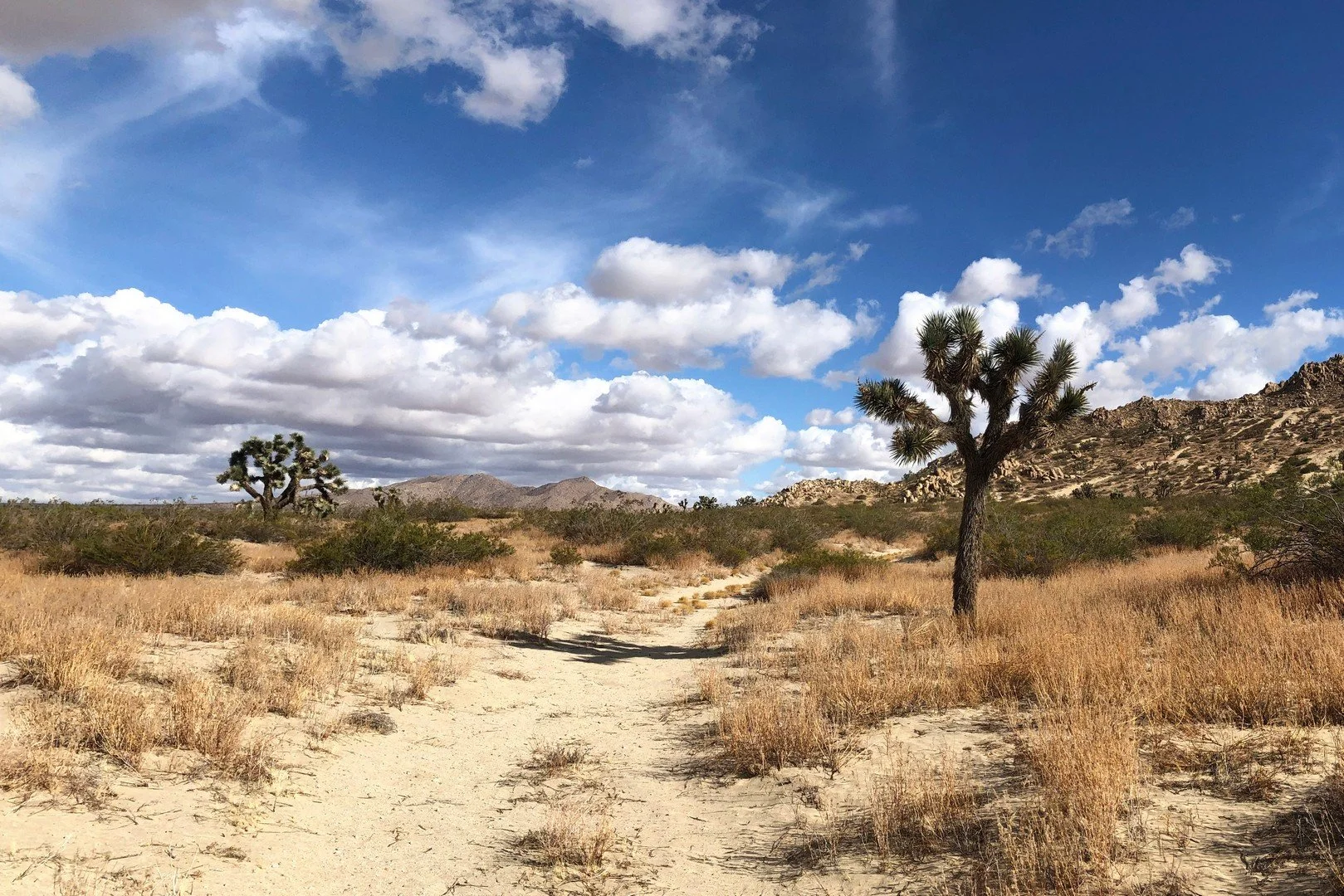 IMG_1769-Panorama13.jpg