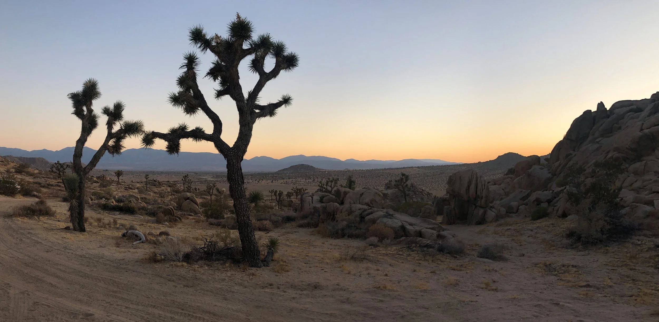 IMG_4473 Panorama.jpg