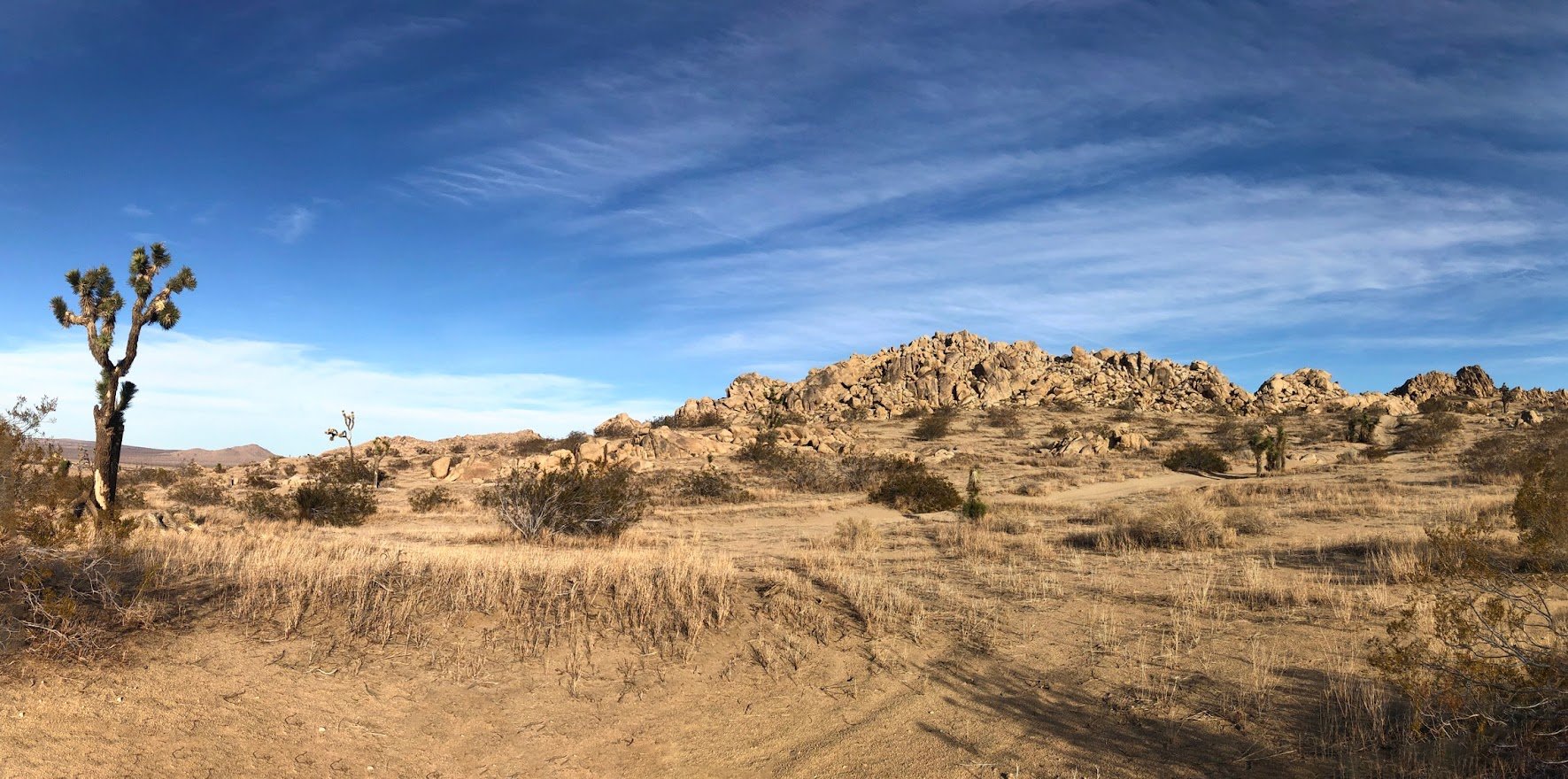 IMG_1046-Panorama.jpgmjbvkjh.jpg