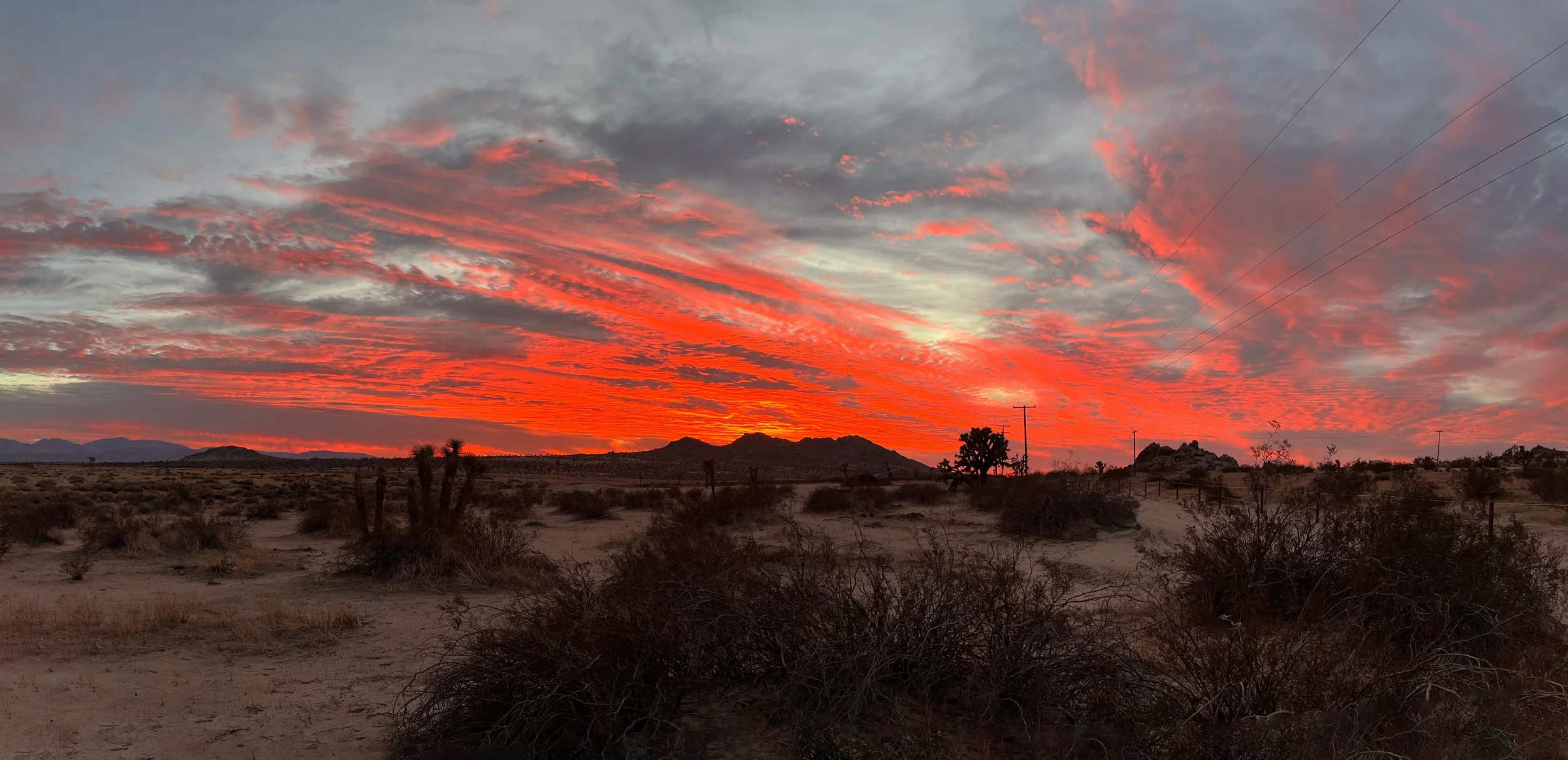IMG_1756-Panorama.jpg