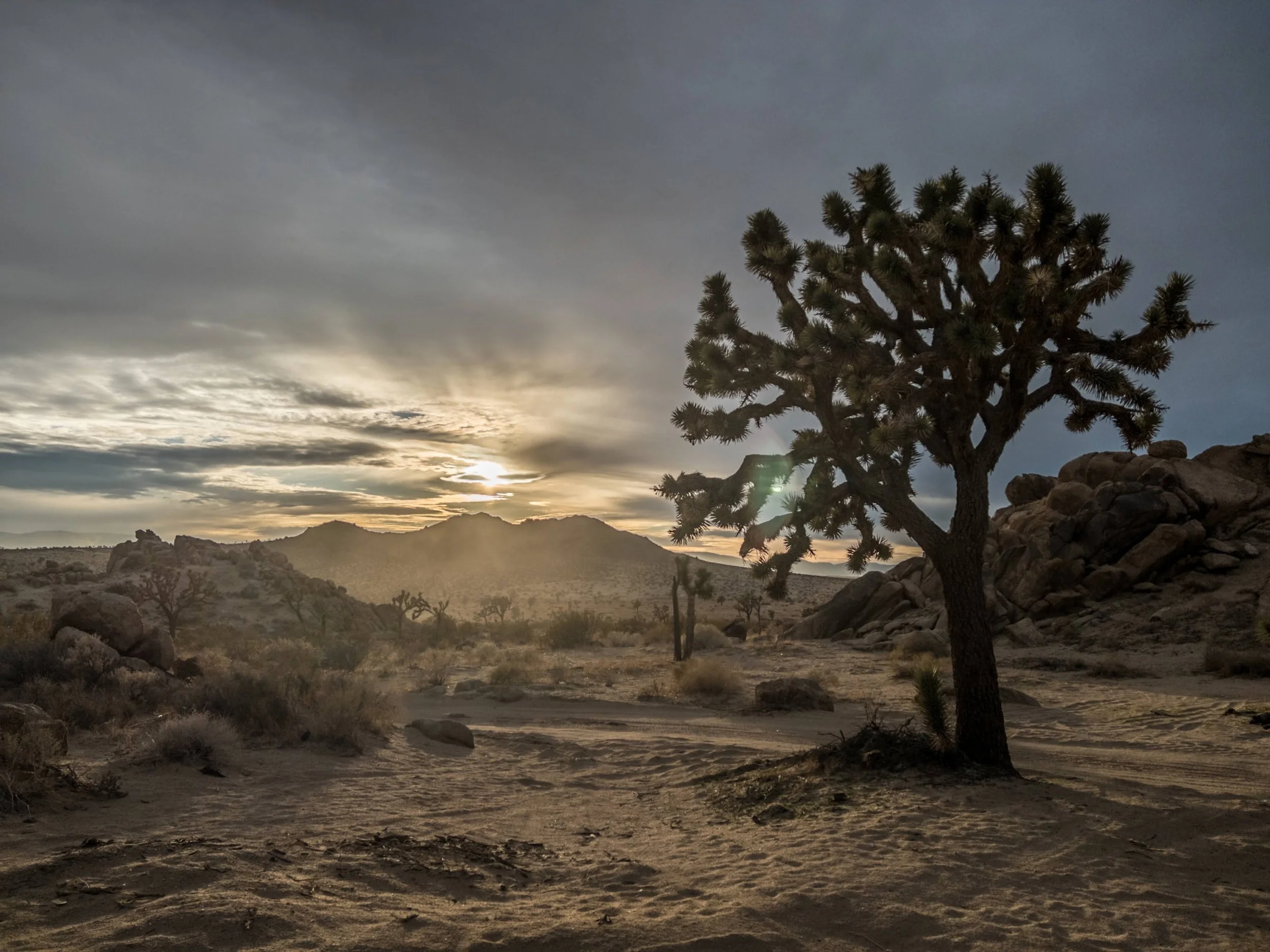 APC_7003-hdr.jpg