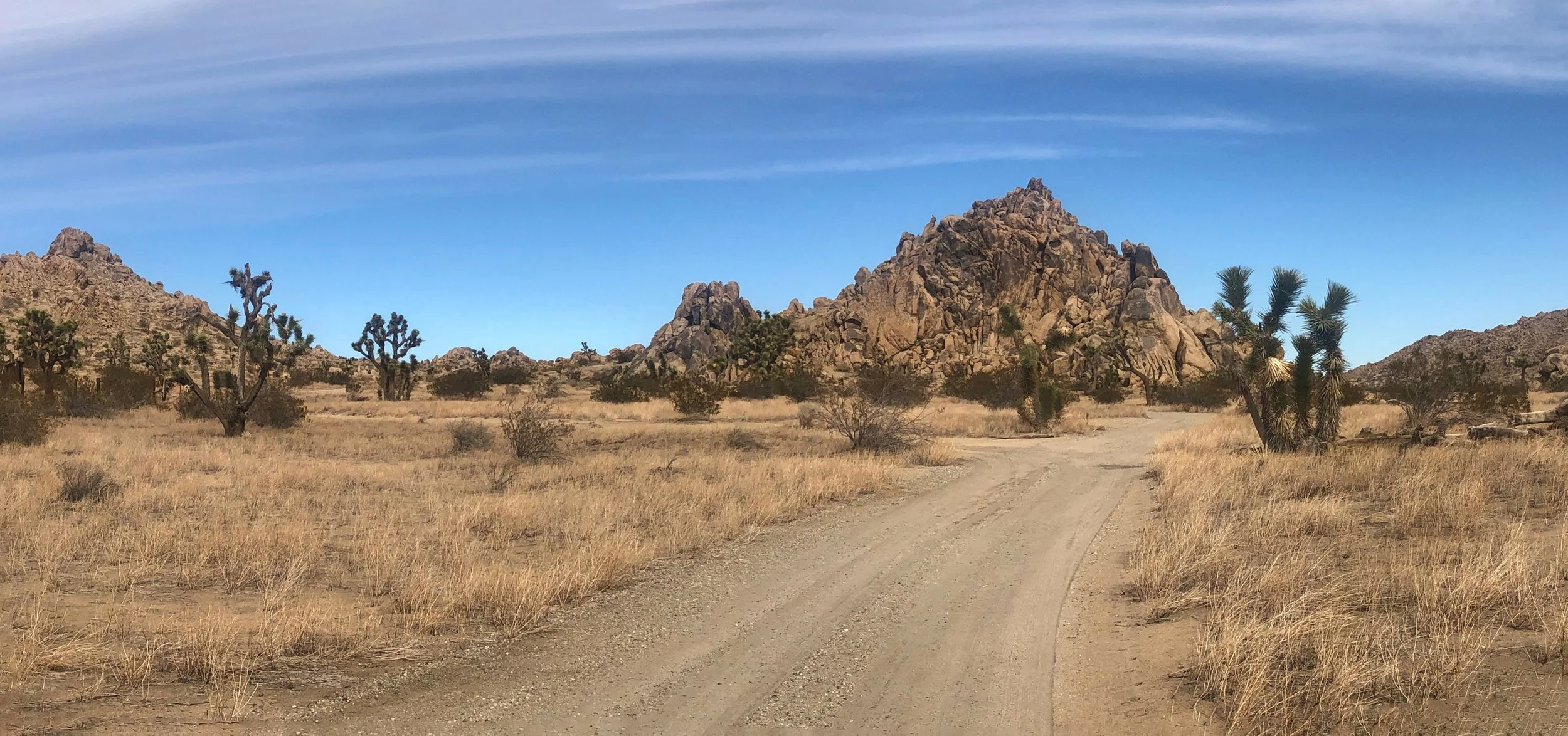 IMG_1266-Panorama.jpg