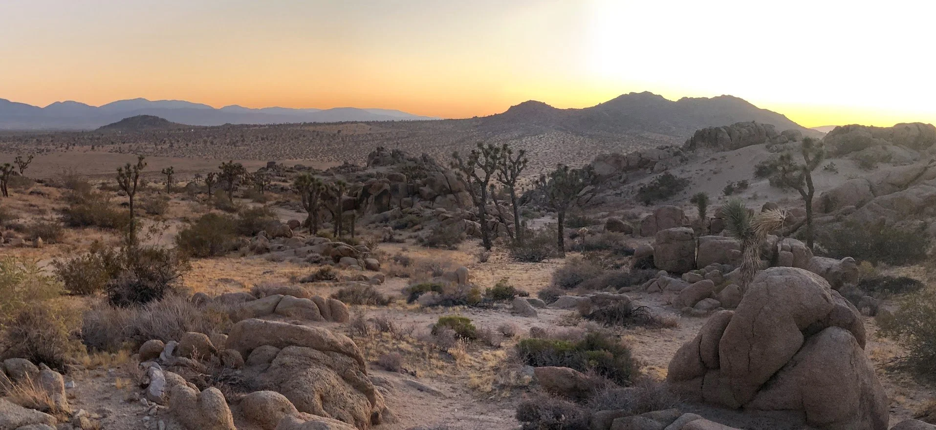 IMG_4508 Panorama.jpg