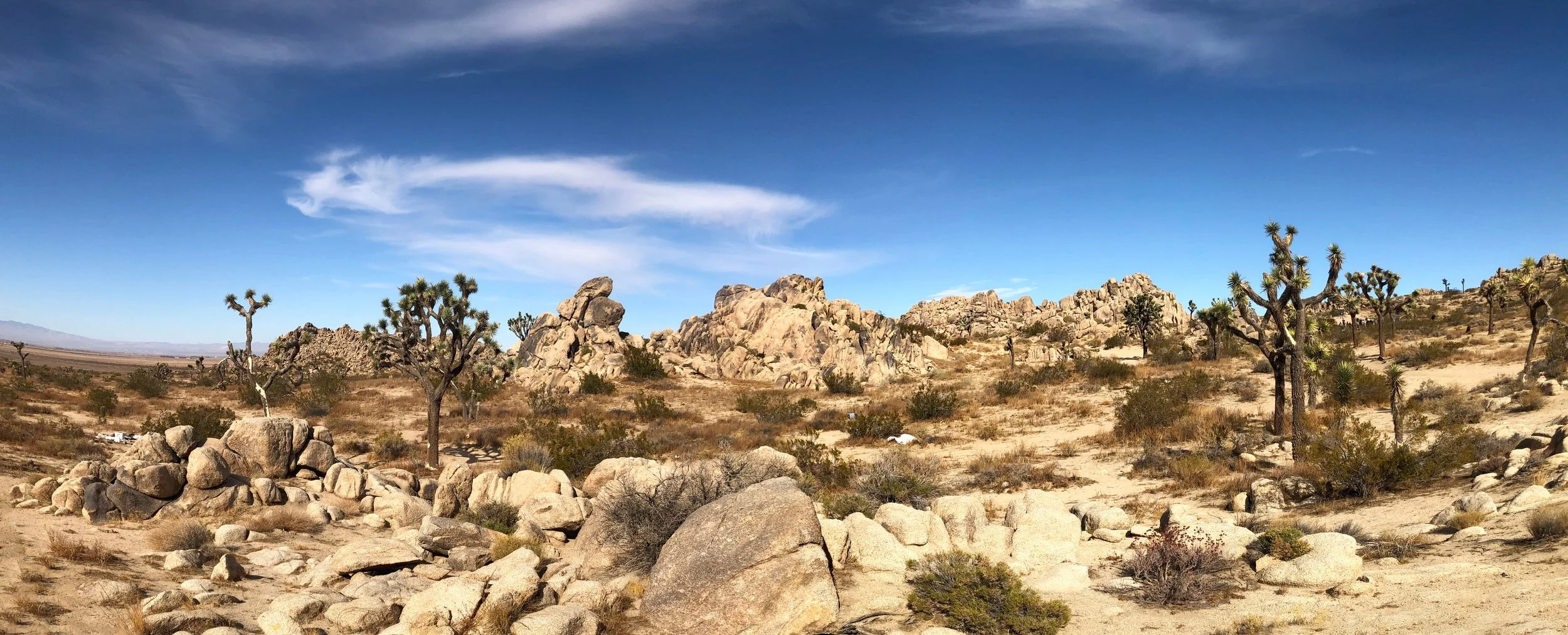 IMG_2239-Panorama.jpg