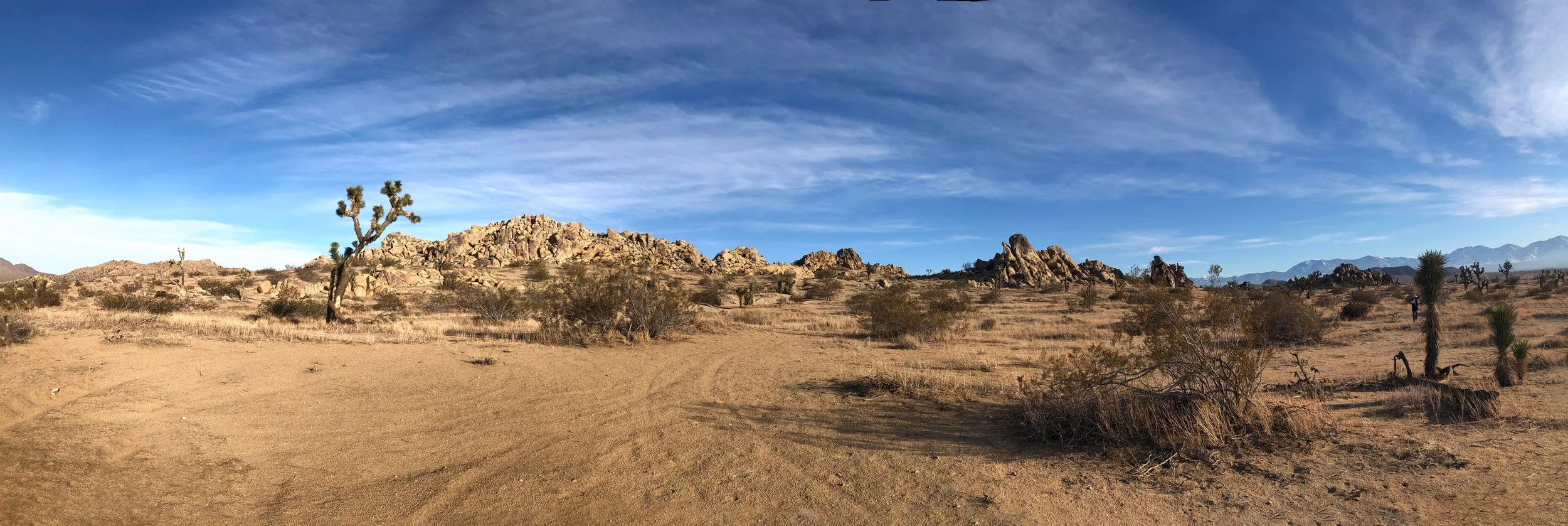 IMG_1043-Panorama2.jpg