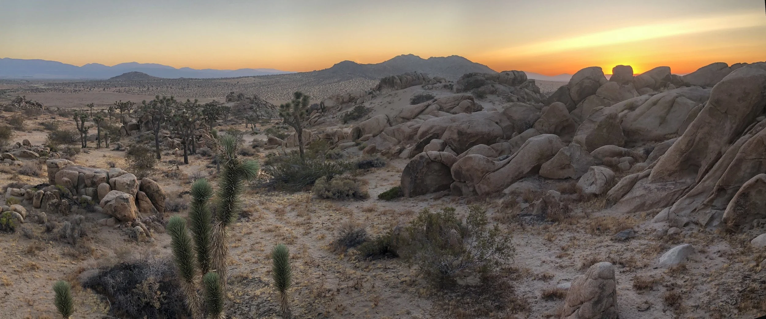 IMG_4444 Panorama.jpg