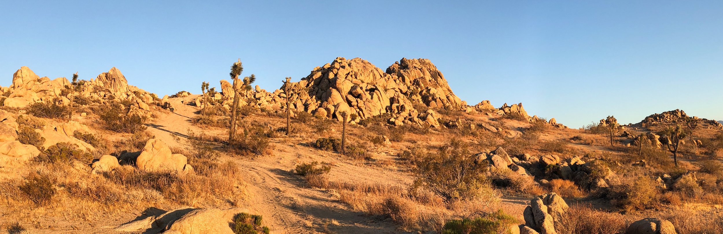 IMG_4397 Panorama.jpg