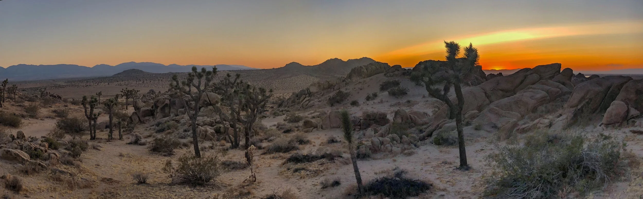 IMG_4461 Panorama.jpg