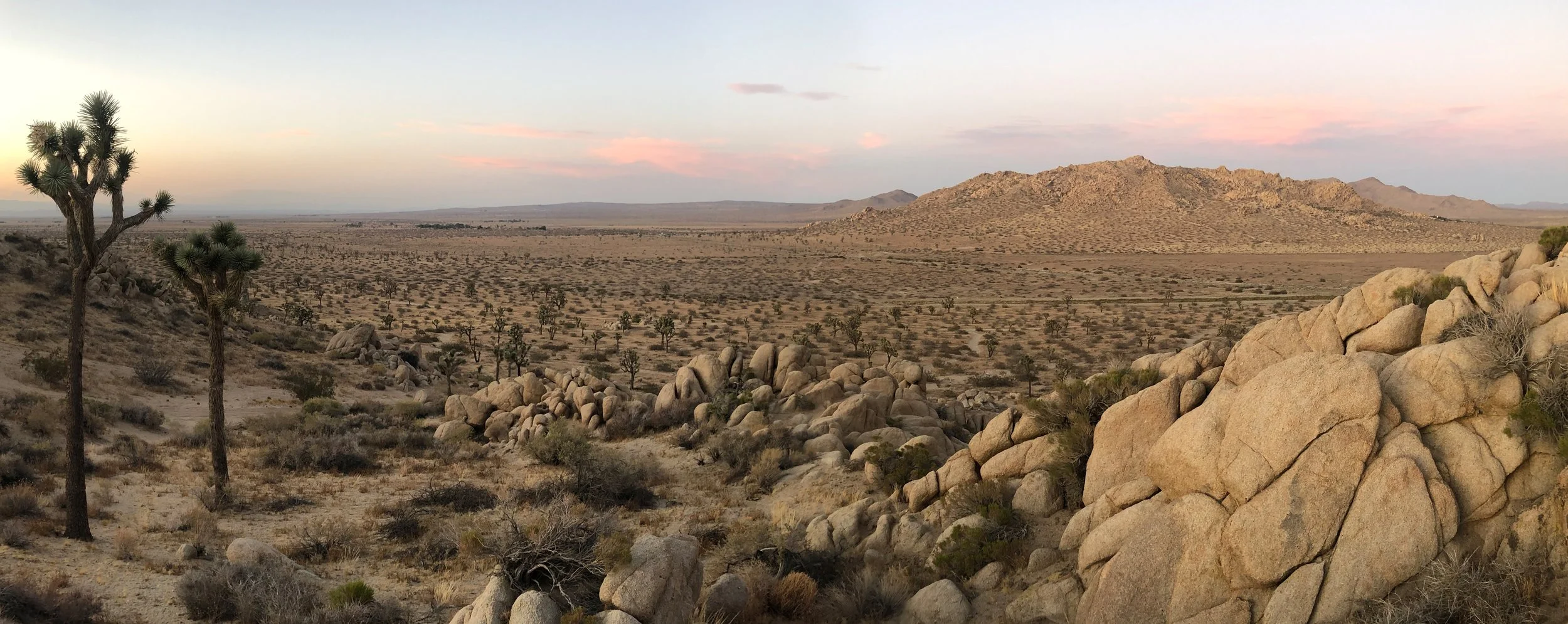 IMG_4483 Panorama.jpg