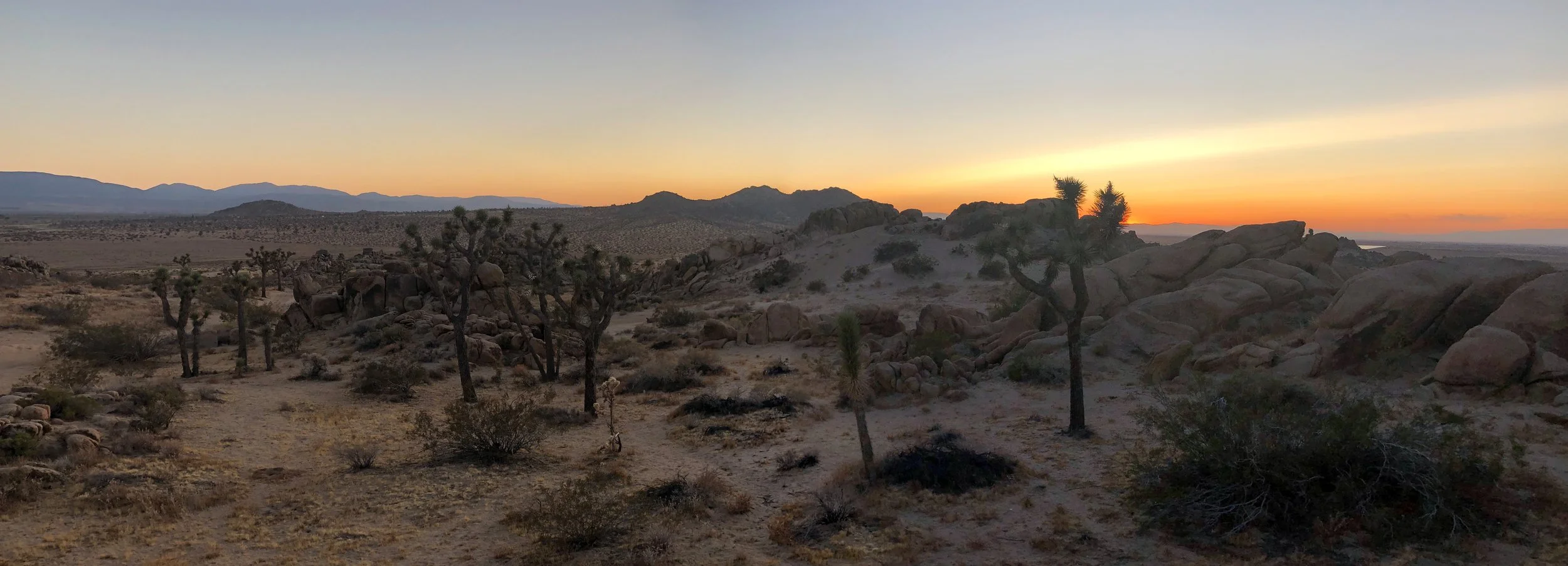 IMG_4466 Panorama.jpg