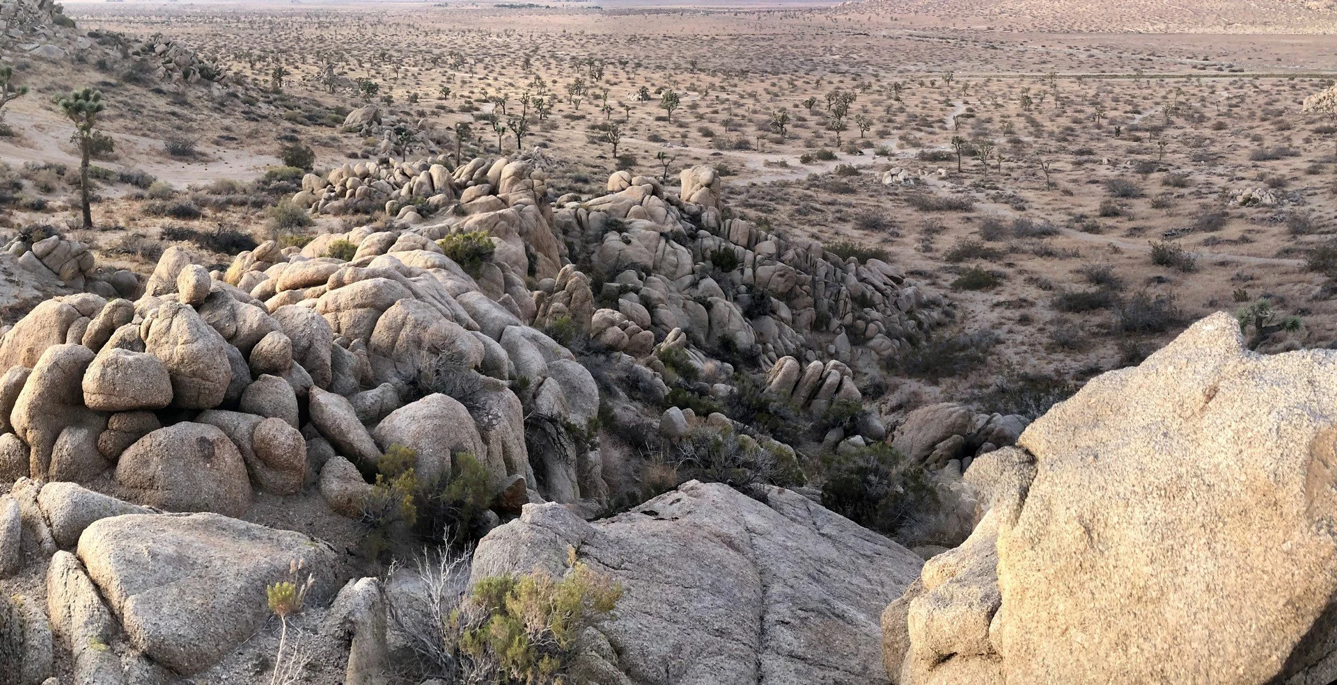 IMG_4495 Panorama.jpg