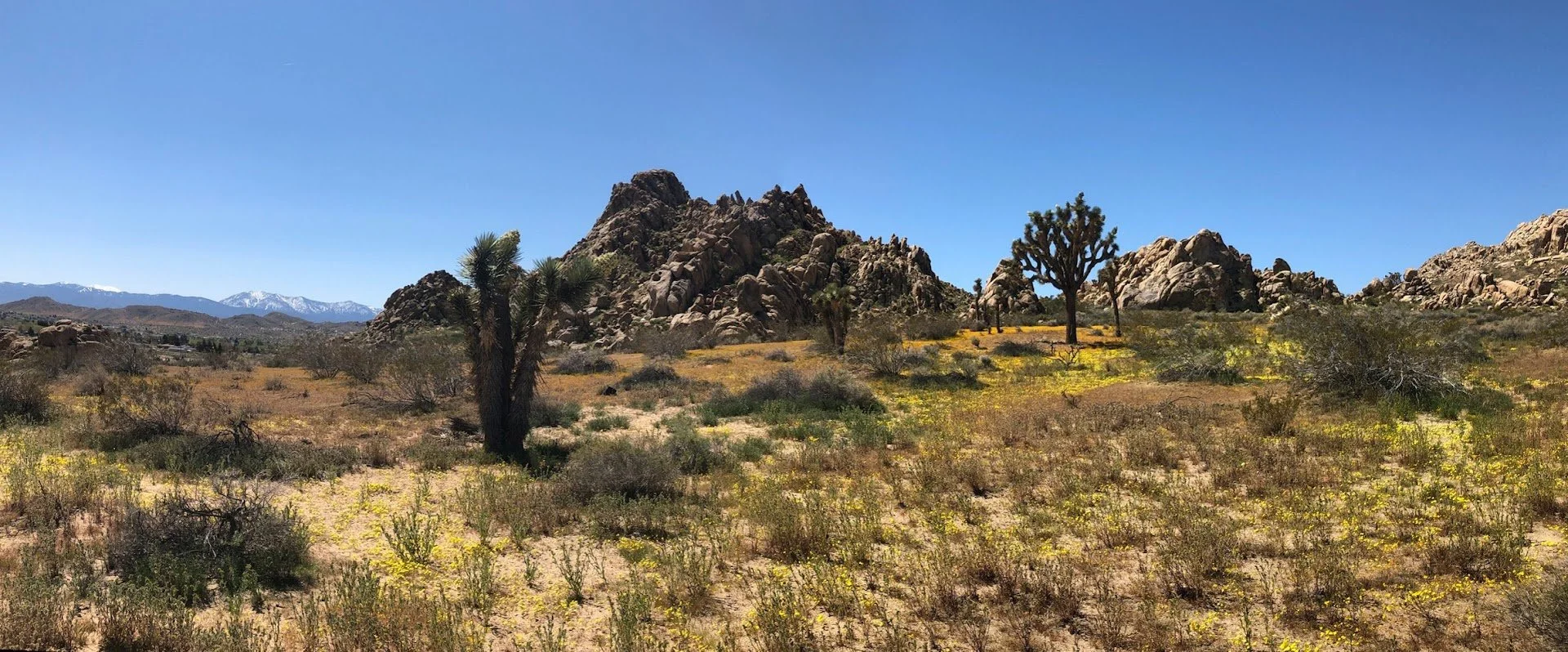 IMG_9771 Panorama.jpg