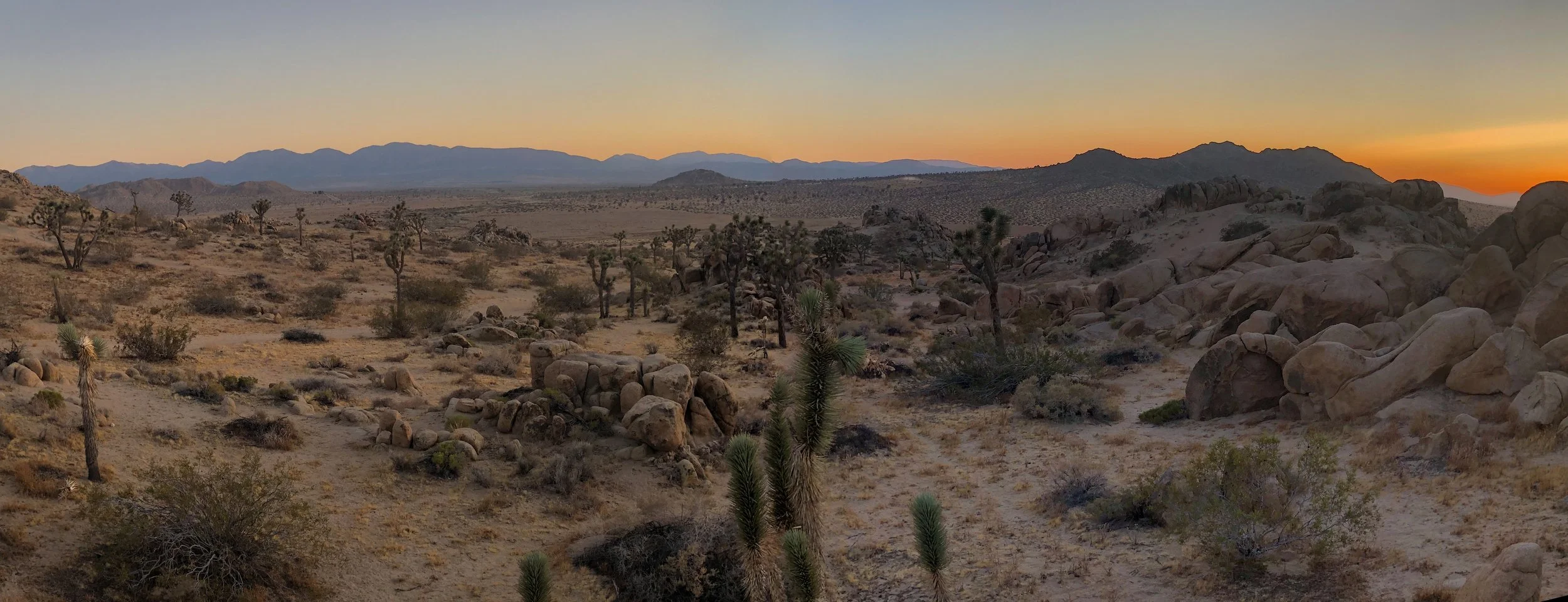 IMG_4451 Panorama.jpg