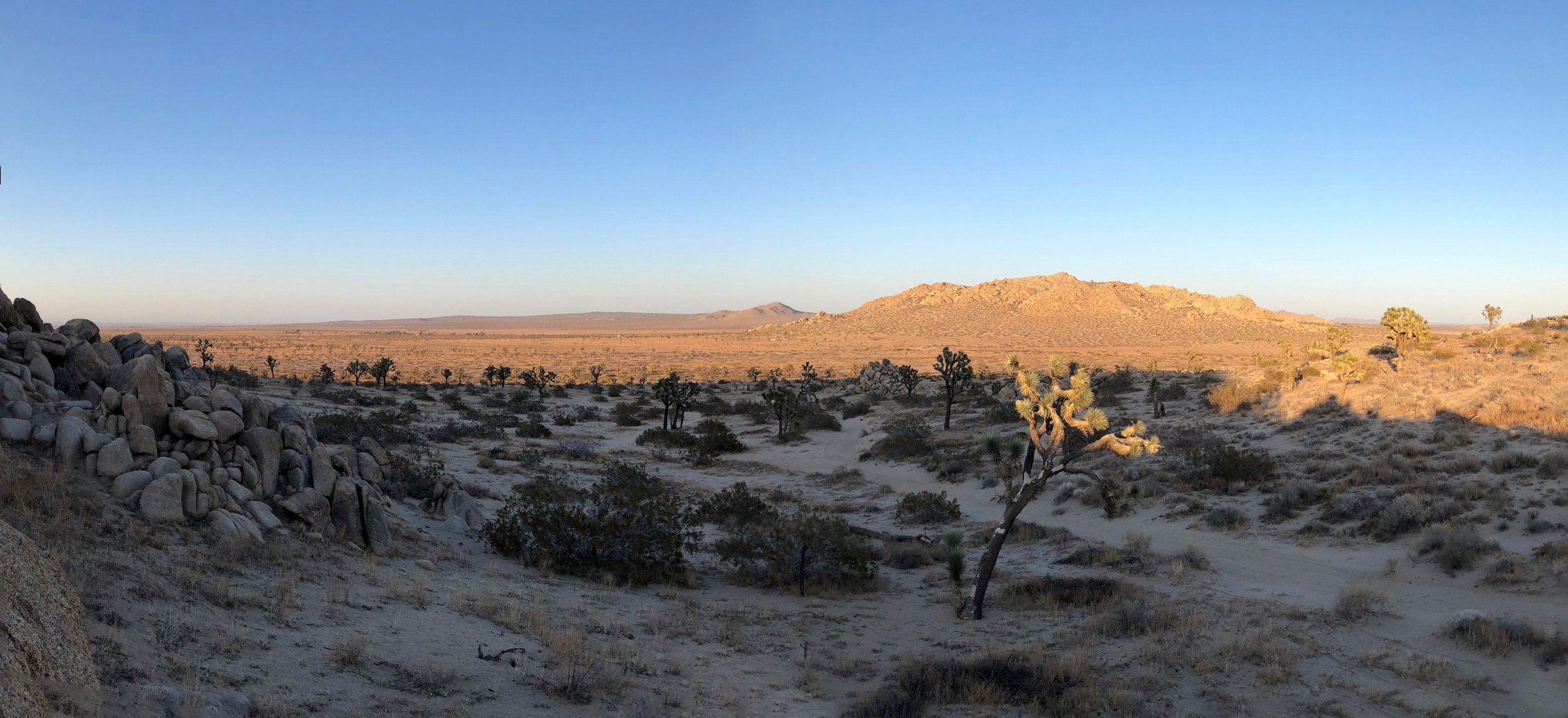 IMG_4873-Panorama.jpg