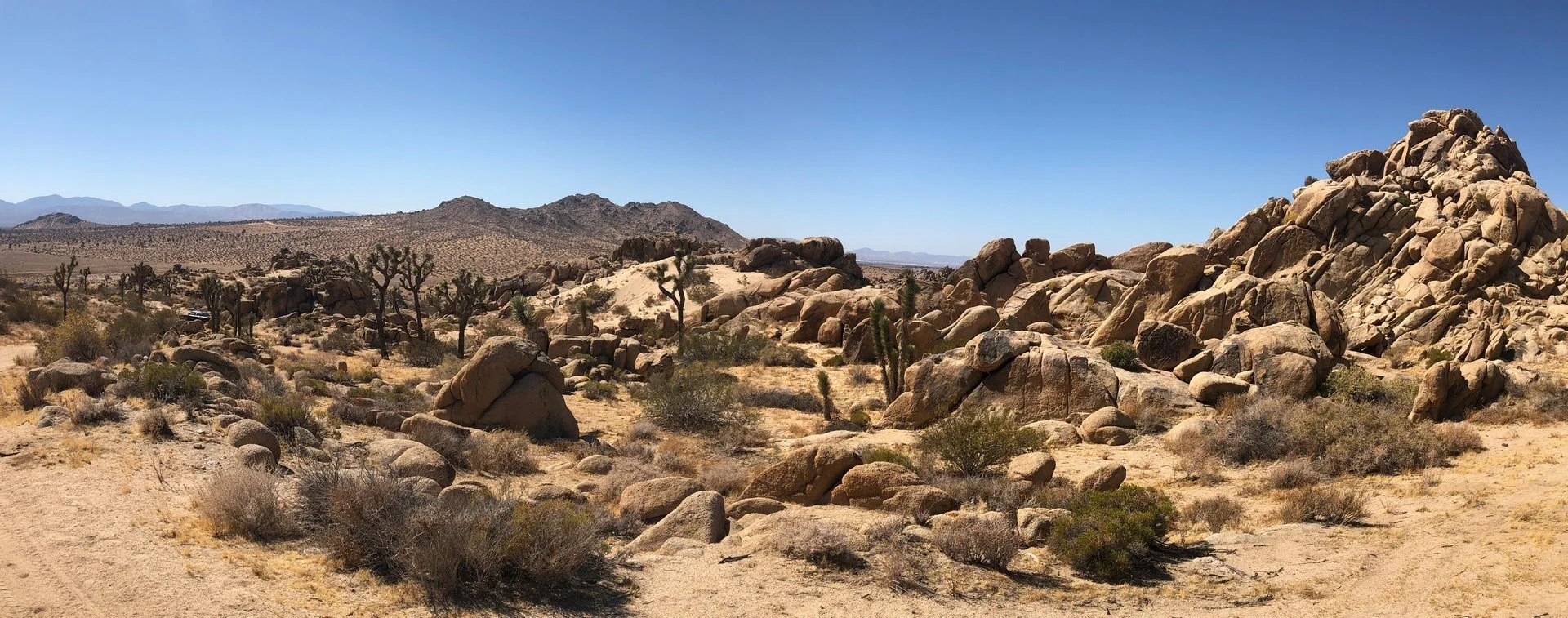 IMG_4911 Panorama.jpg