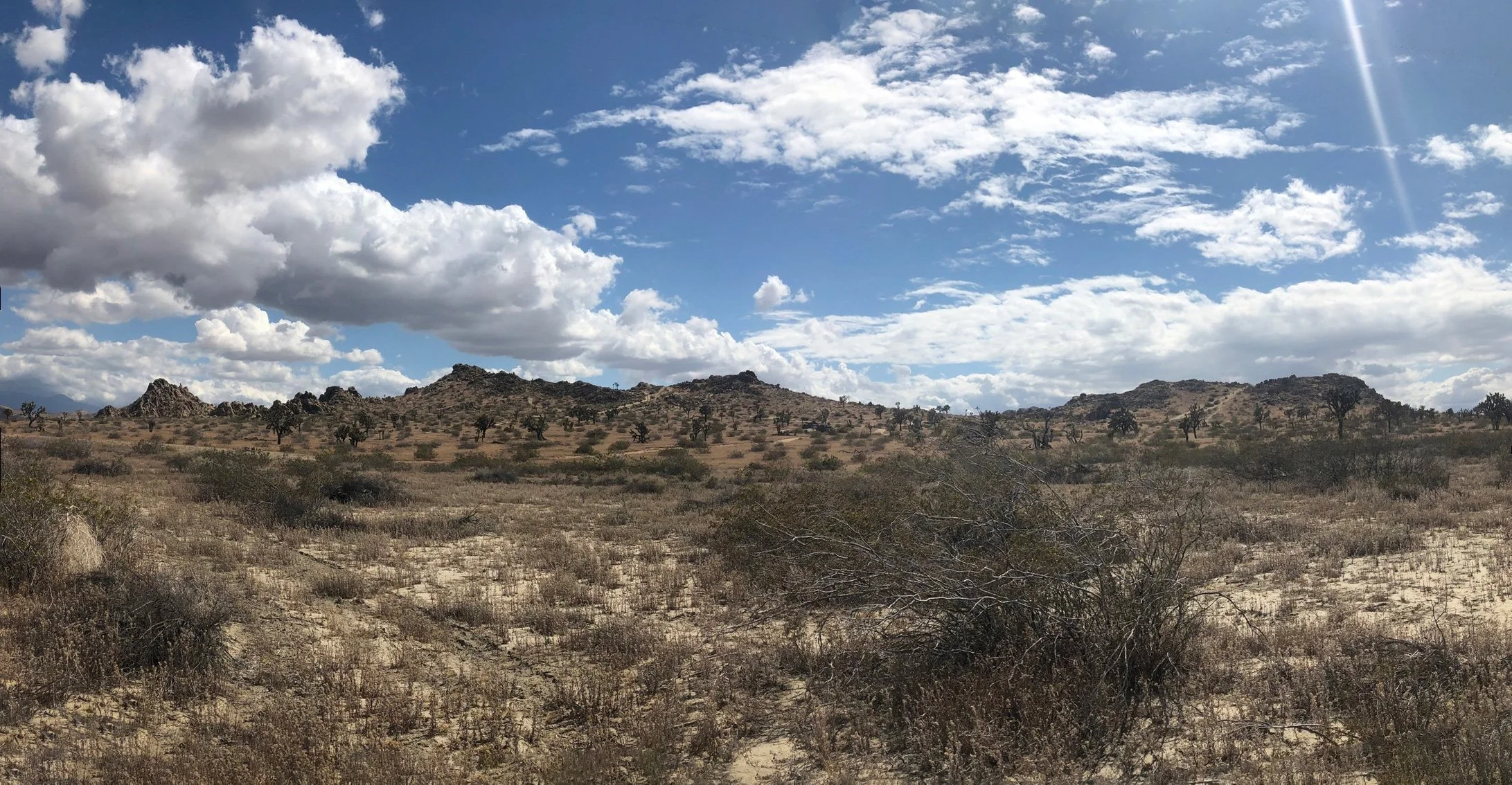 IMG_0568-Panorama.jpg