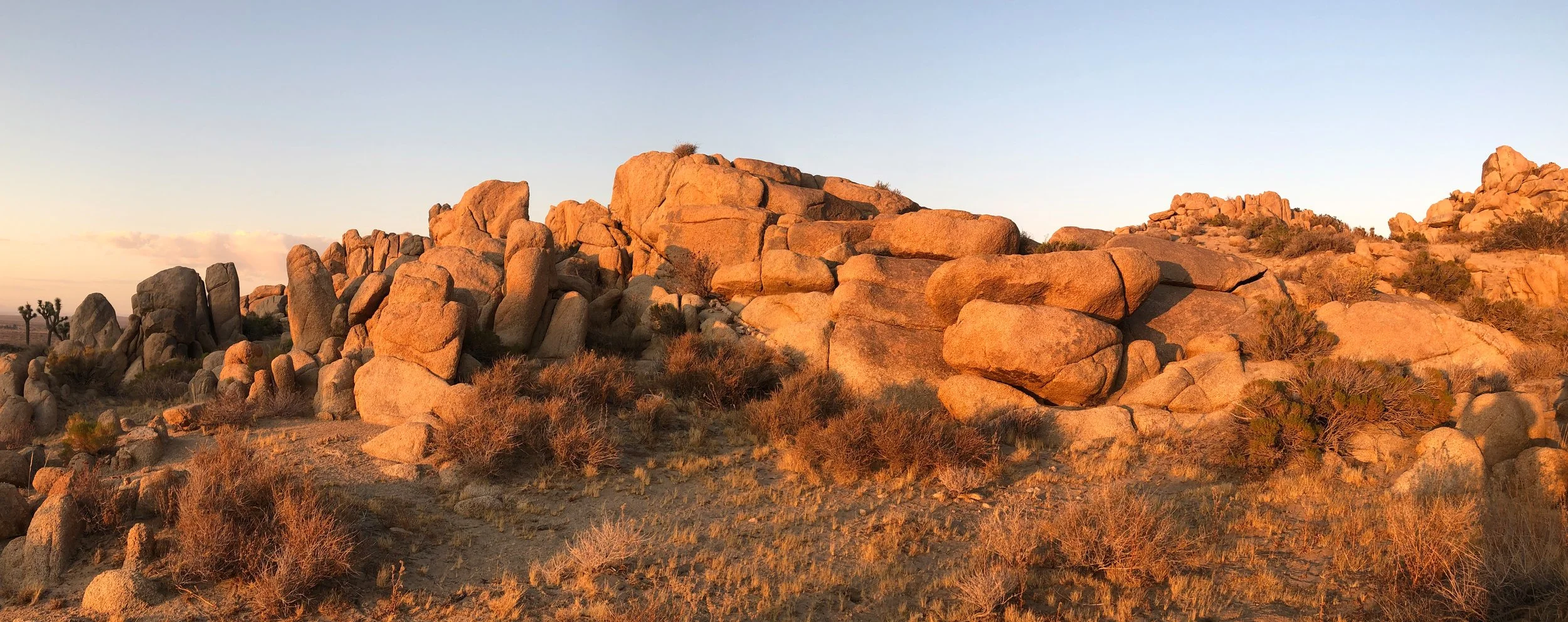 IMG_4581 Panorama.jpg