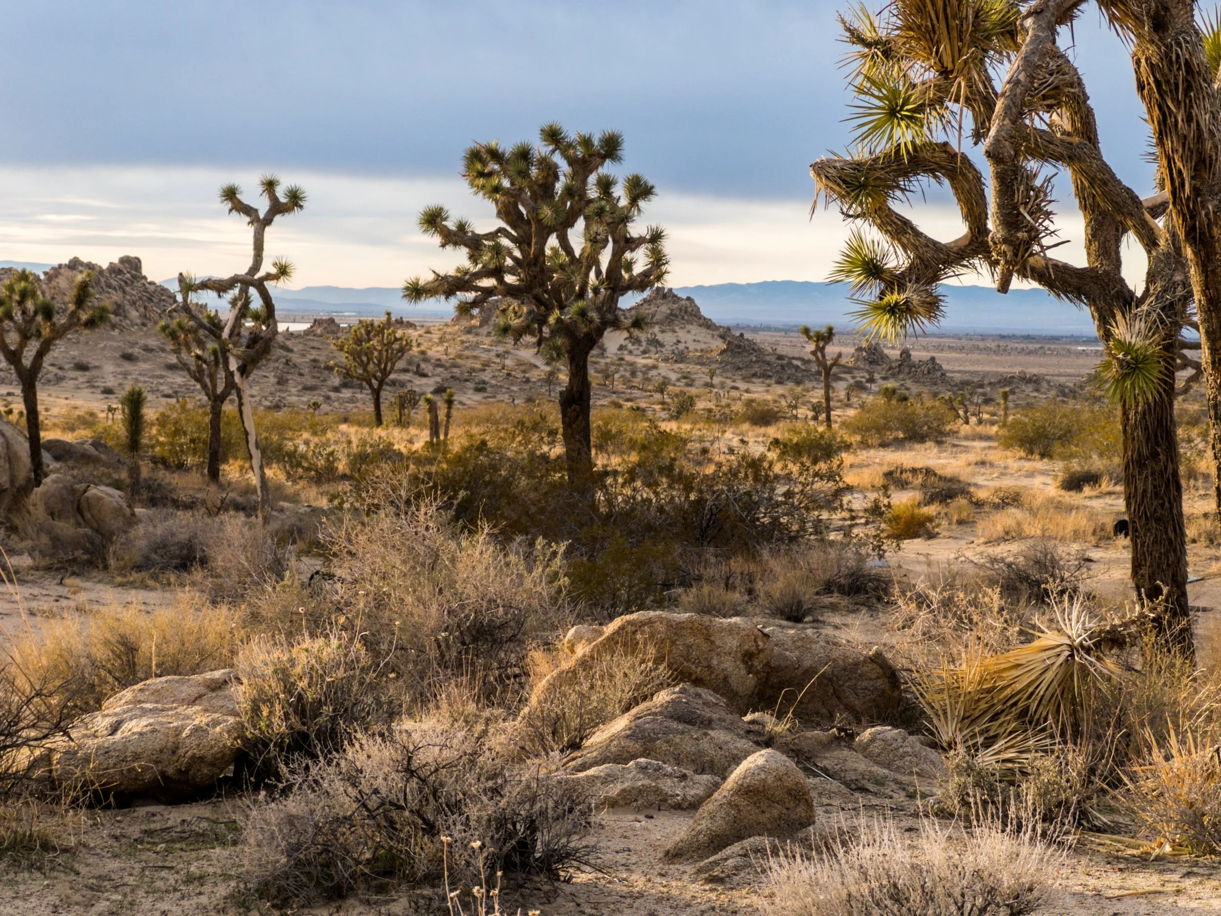 APC_6997-hdr.jpg