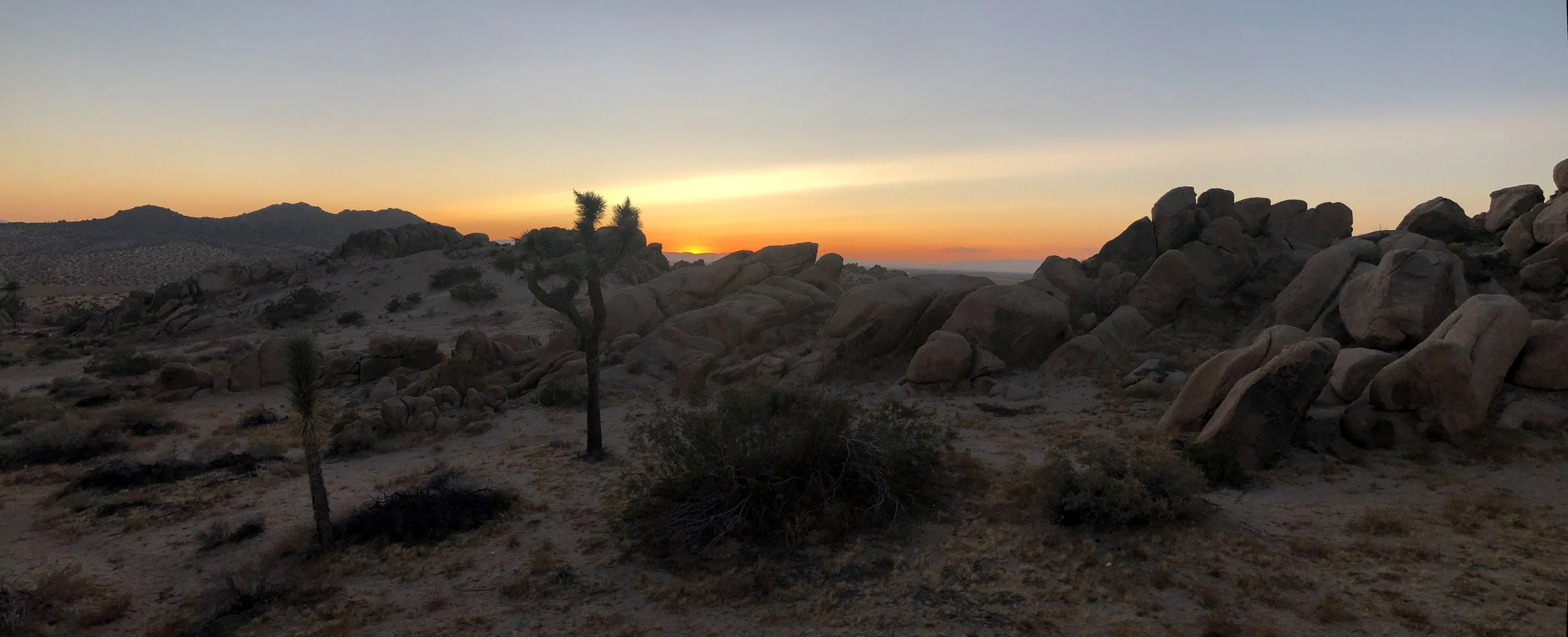 IMG_4453 Panorama.jpg