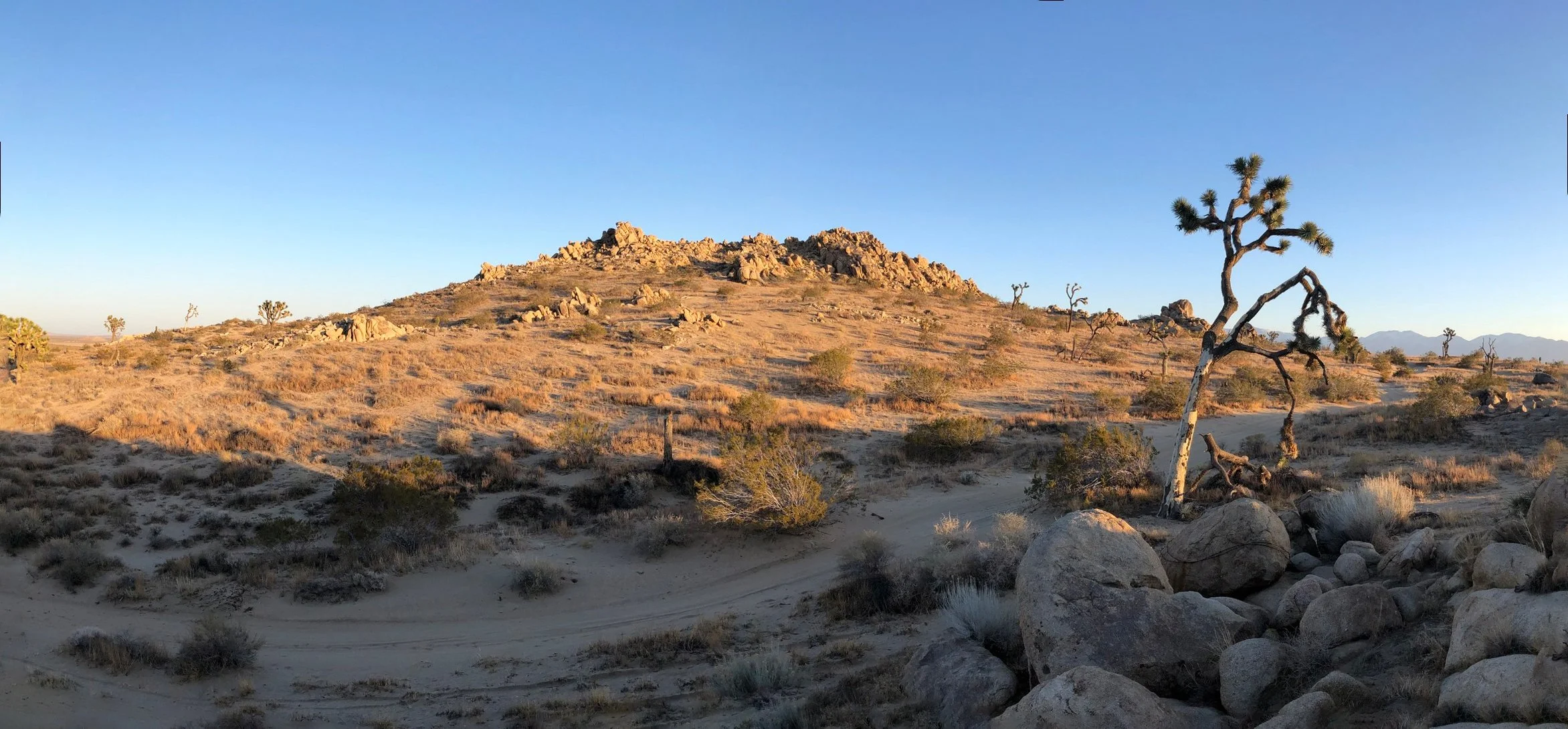 IMG_4871-Panorama.jpg