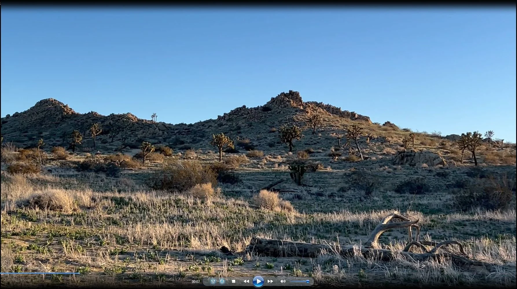 Capture.JPGdfsxgdfxhfgjhgf.JPG