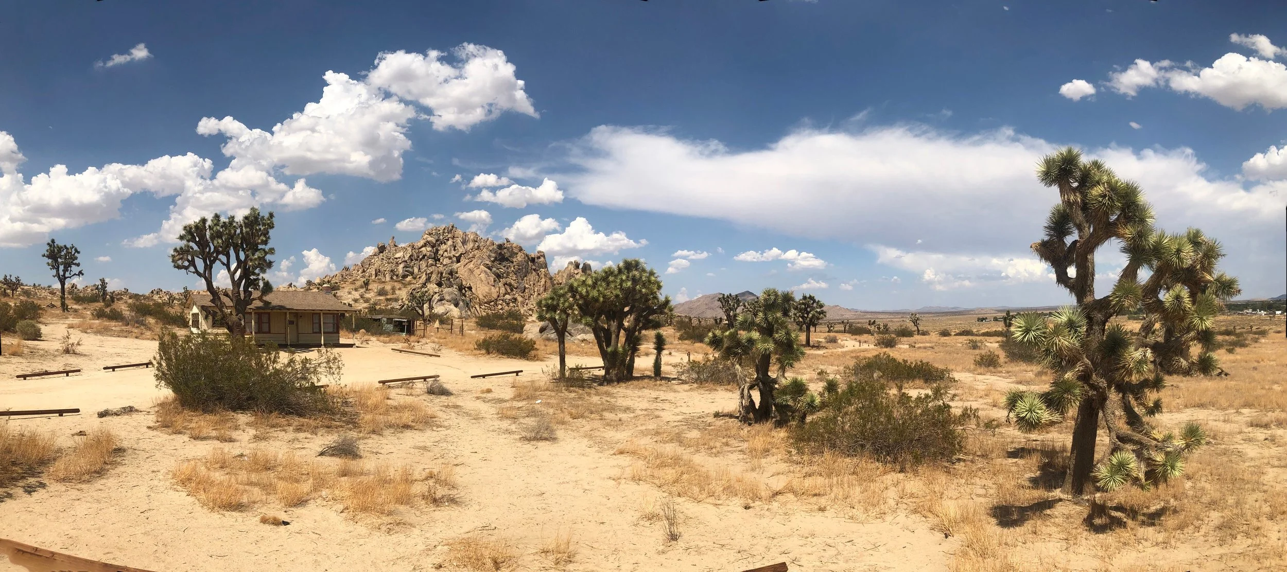 IMG_8203-Panorama566666666666664r.jpg
