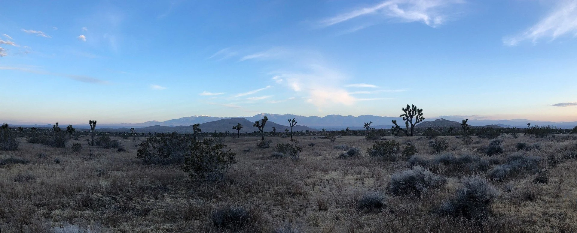 IMG_0906 Panorama.jpg