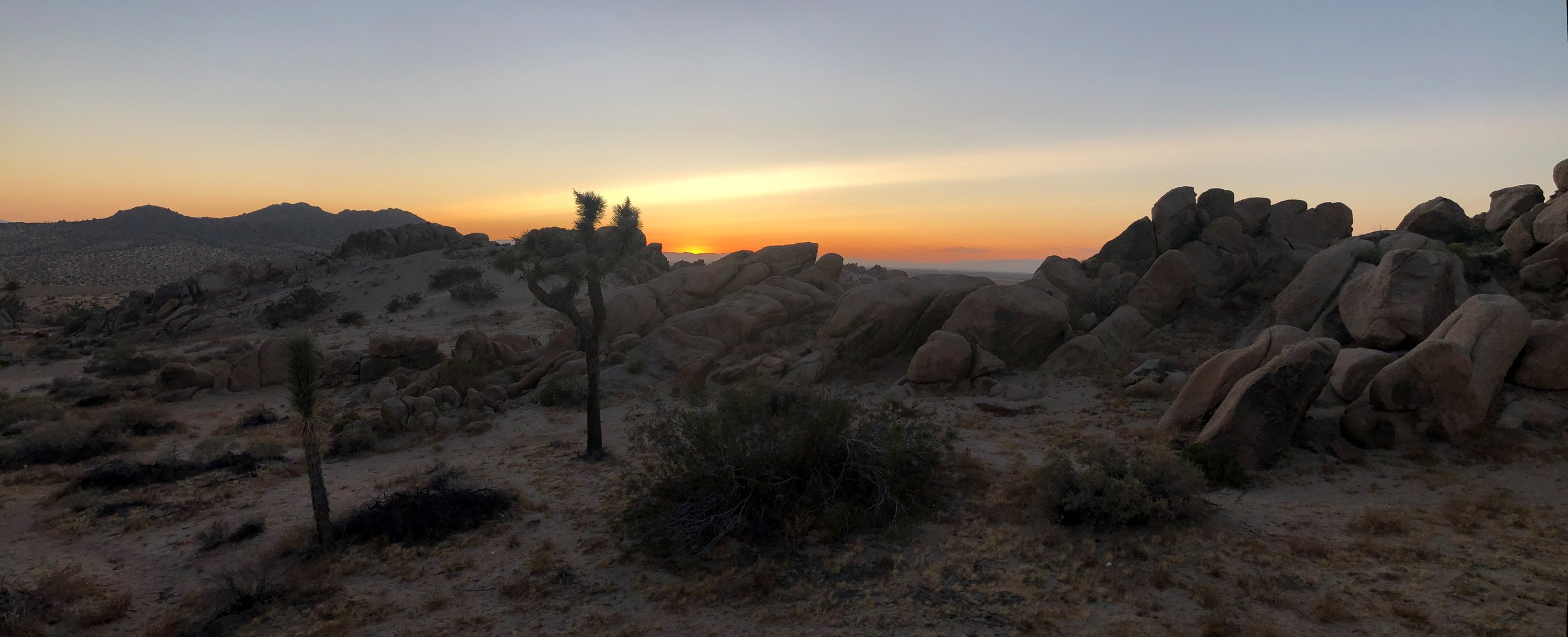 IMG_4453 Panorama.jpg