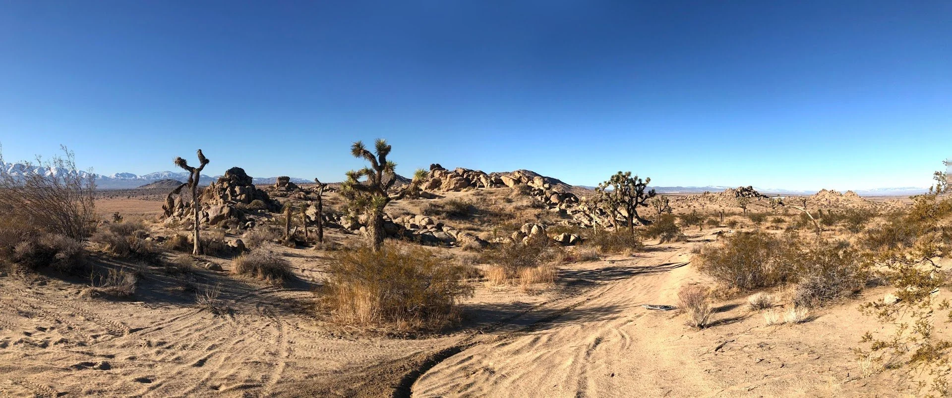 IMG_0975-Panorama.jpg