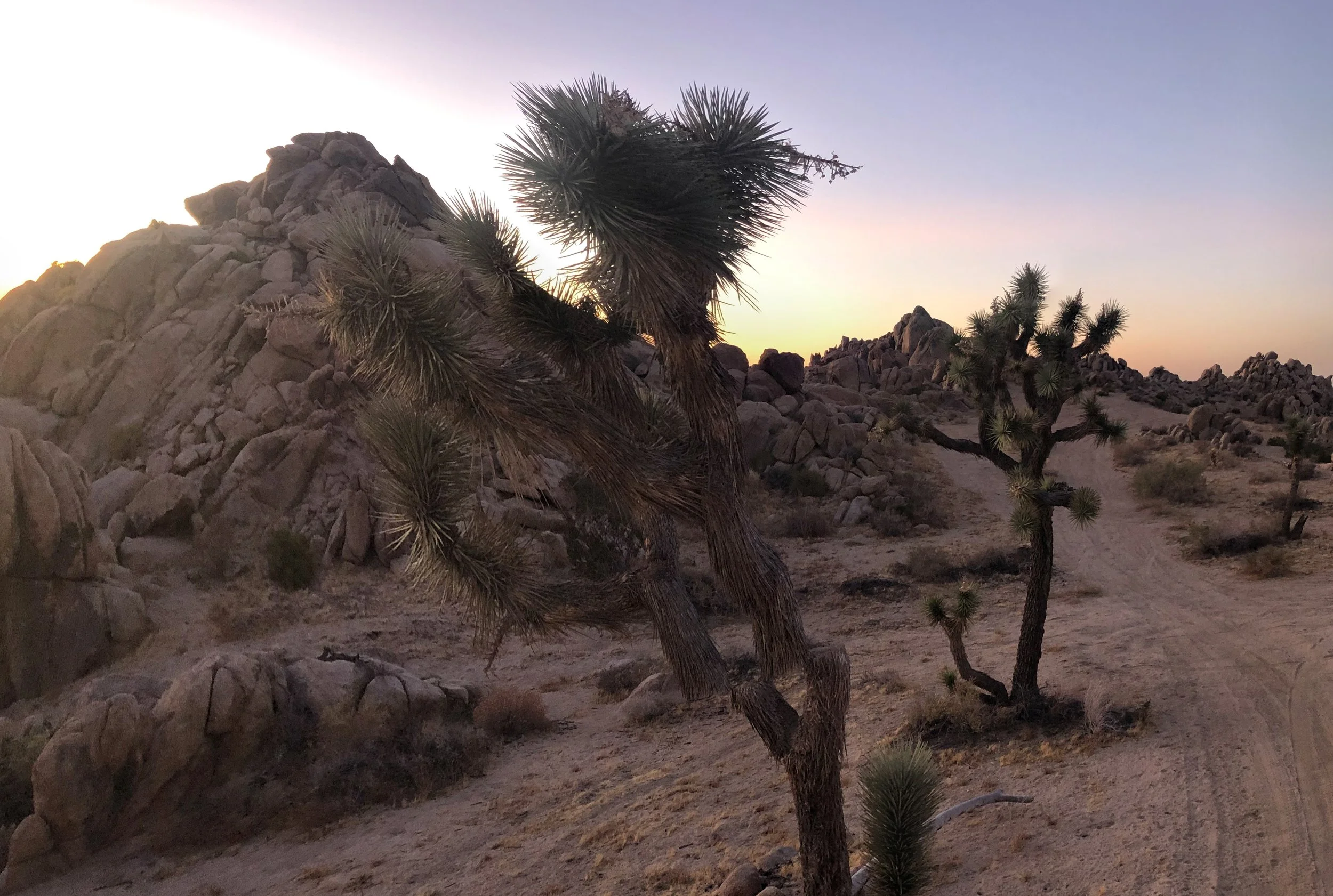IMG_4515 Panorama-Edit.jpg