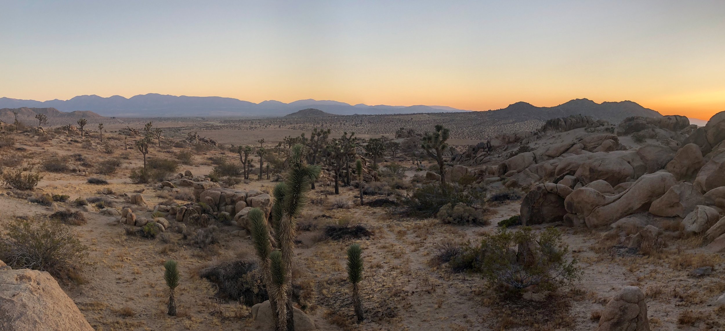 IMG_4441 Panorama.jpg