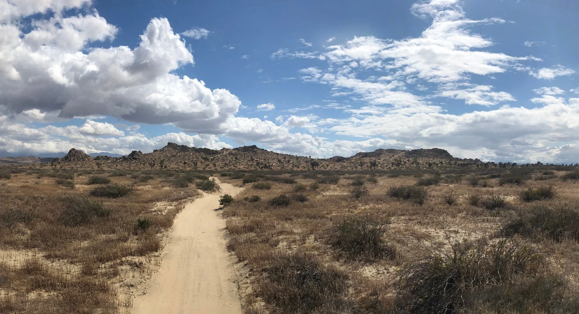IMG_0565-Panorama.jpg